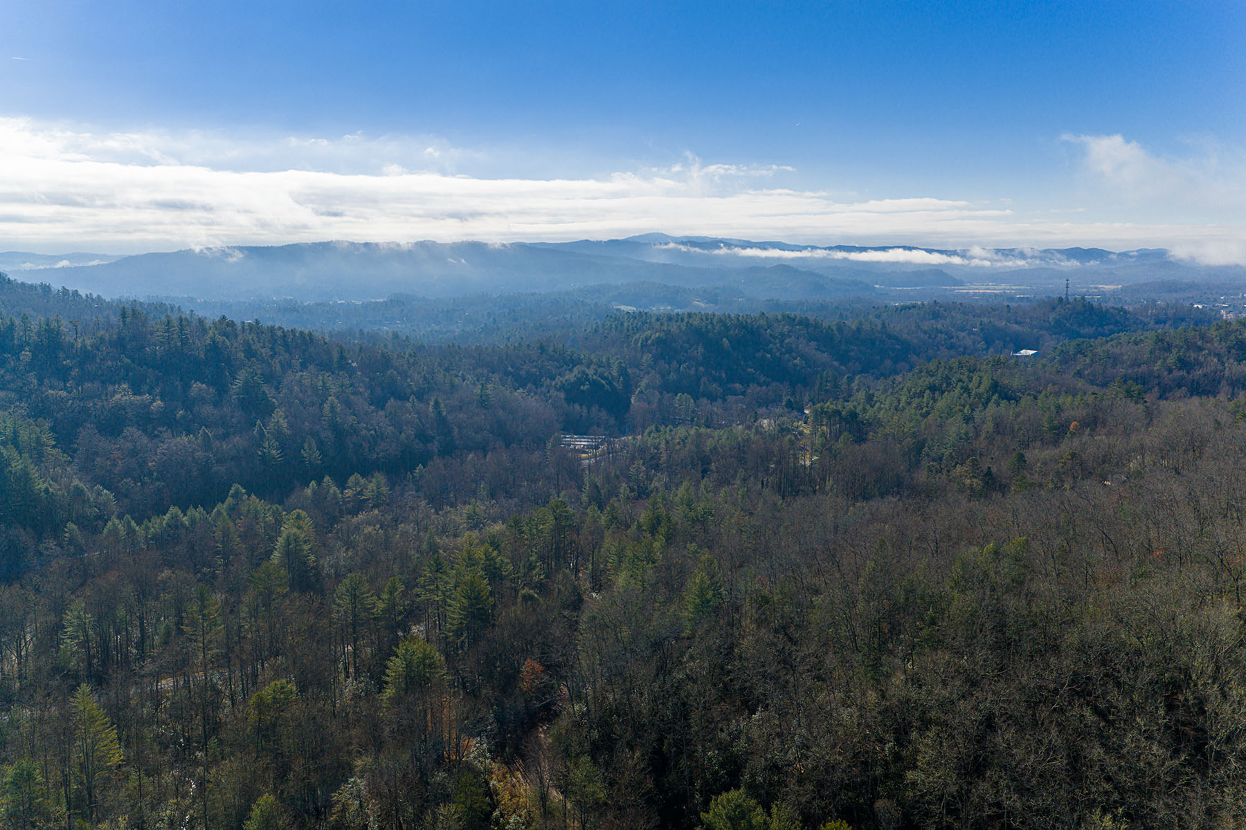  PISGAH FOREST - 物件實景