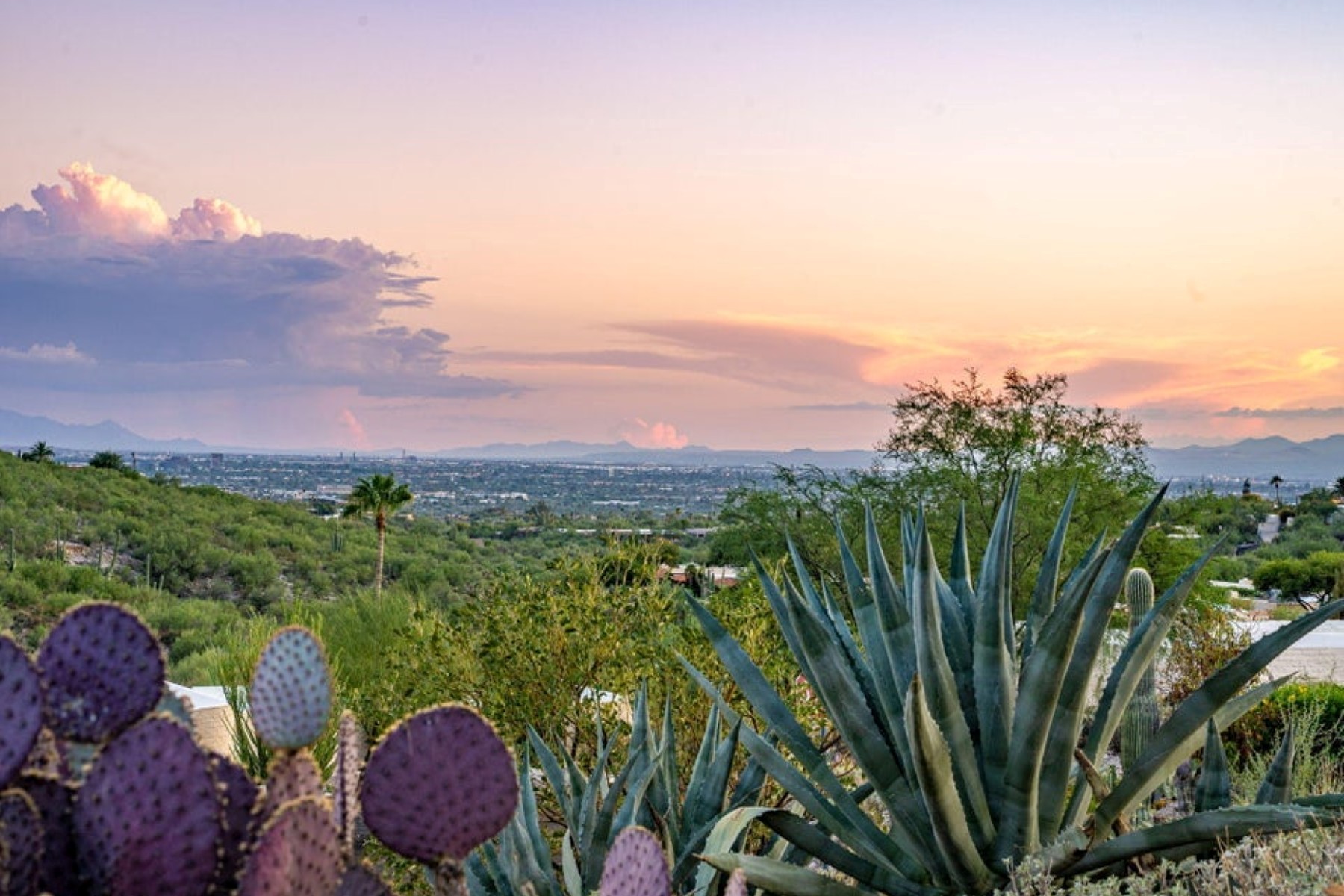  5406 N Camino de las Brisas¦Tucson, AZ - 物件實景
