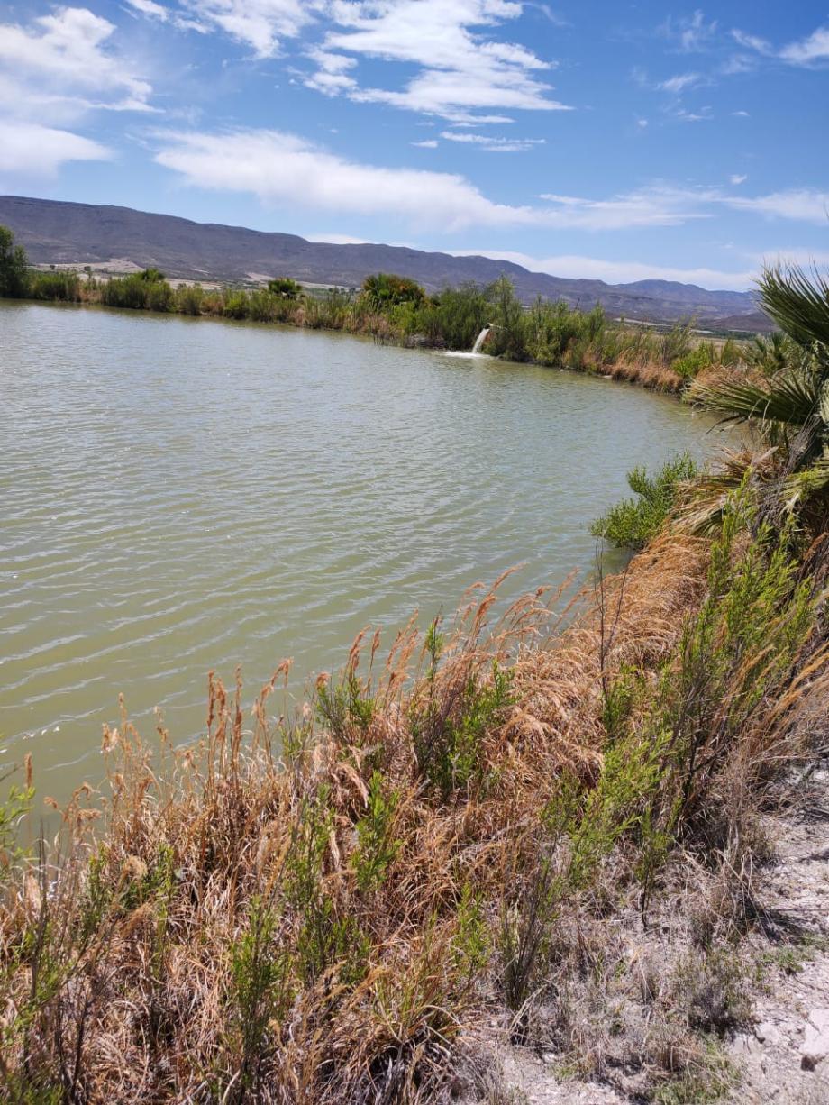 San Francisco de Conchos, Chihuahua, 33680, Mexico, 1 Bedroom Bedrooms, ,Residential,For Sale,1991228