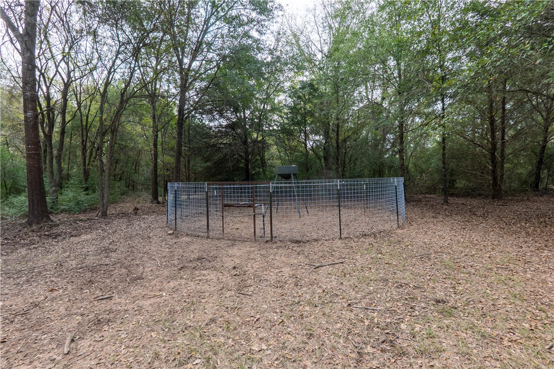 Thornton, Texas, 76687, United States, ,Land,For Sale,2003074