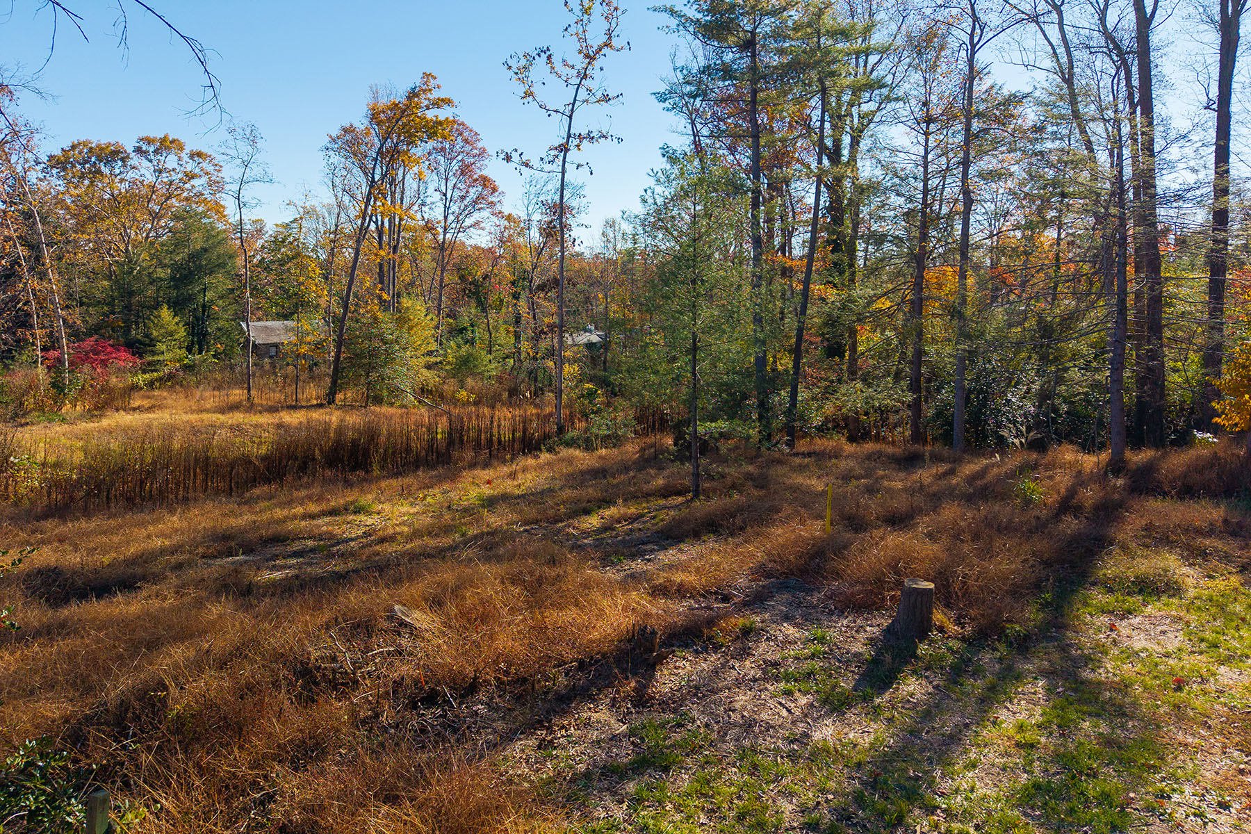  ASHEVILLE - 物件實景