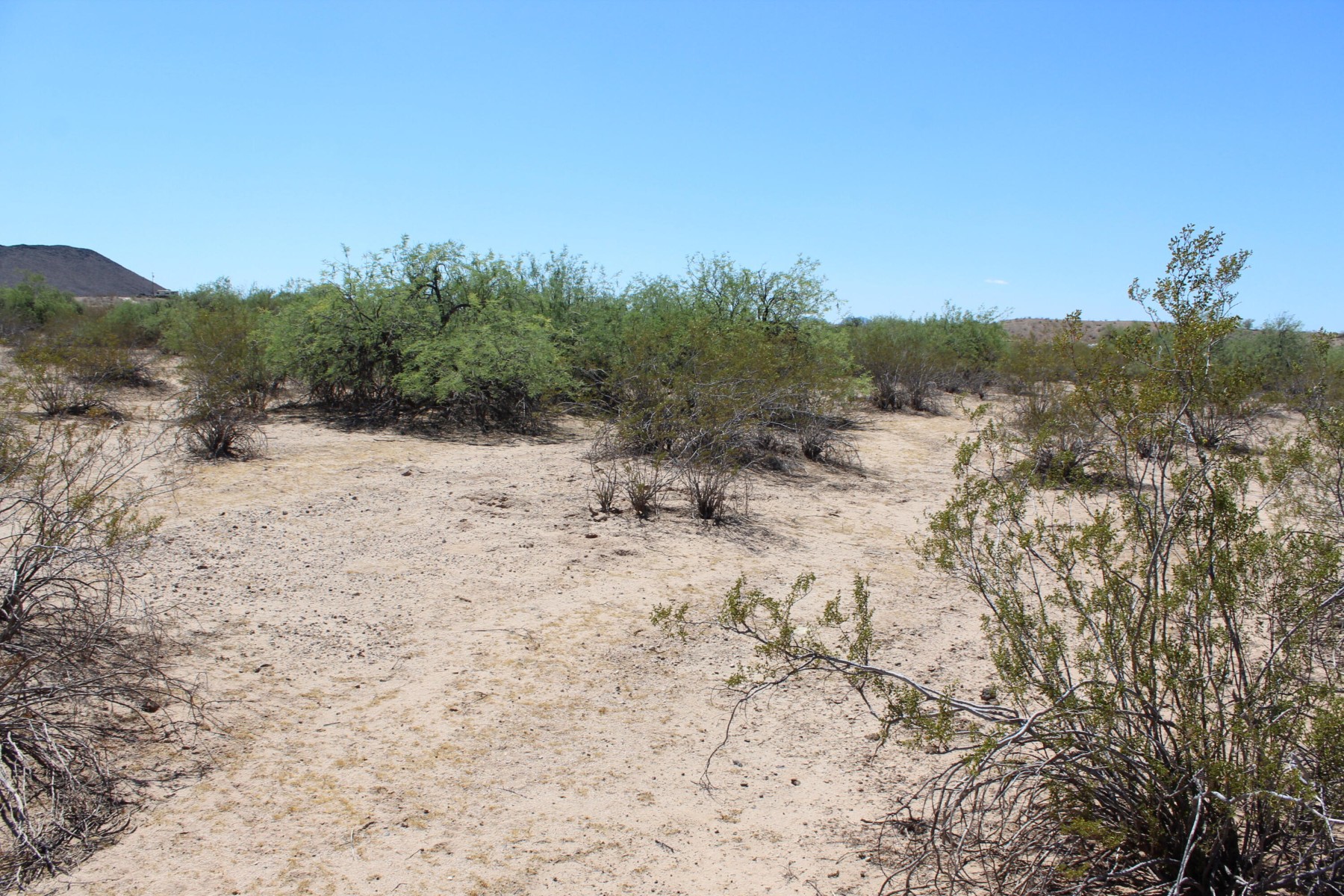  11 S 337th Avenue, Arlington, AZ, 85322 - 物件實景