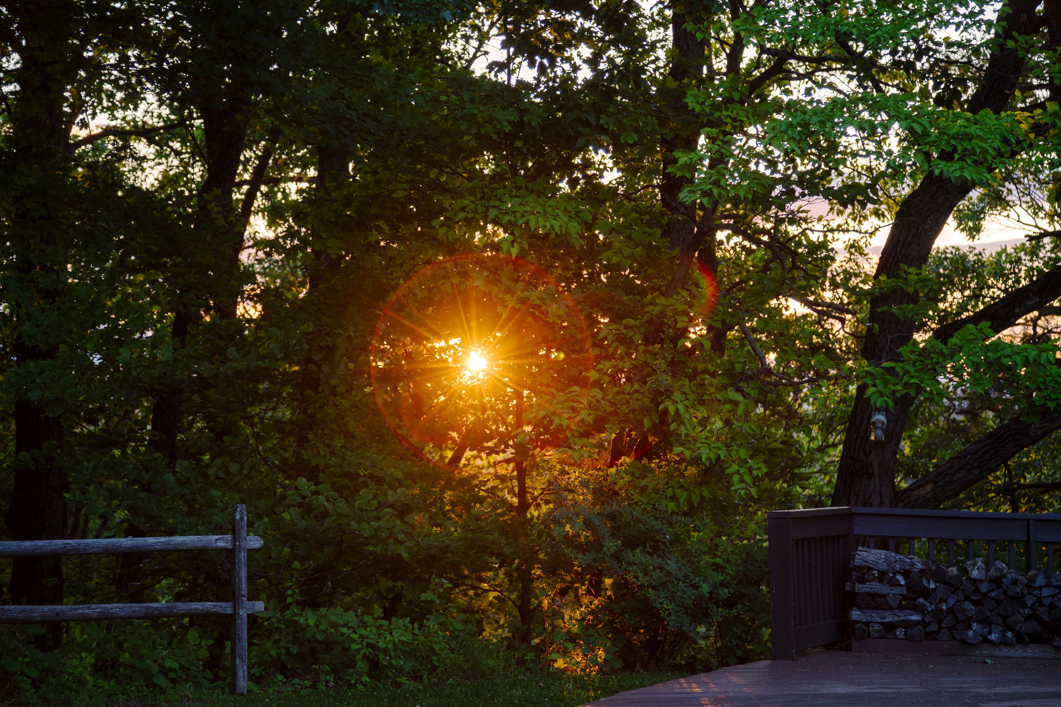 322 Schultz Lane, Kingston, NY 12401 - 物件實景