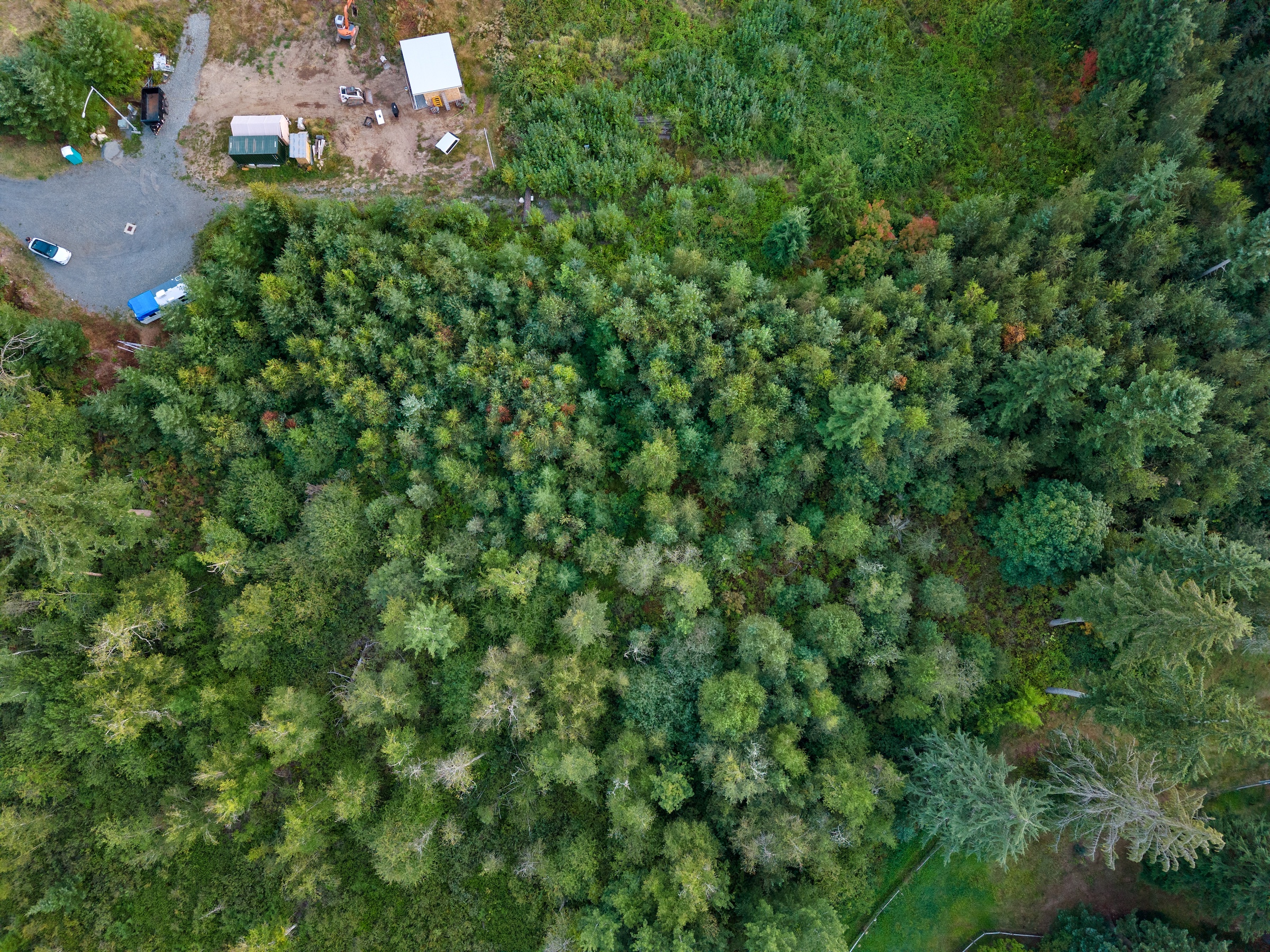  Builder Ready Private Acreage - 物件實景