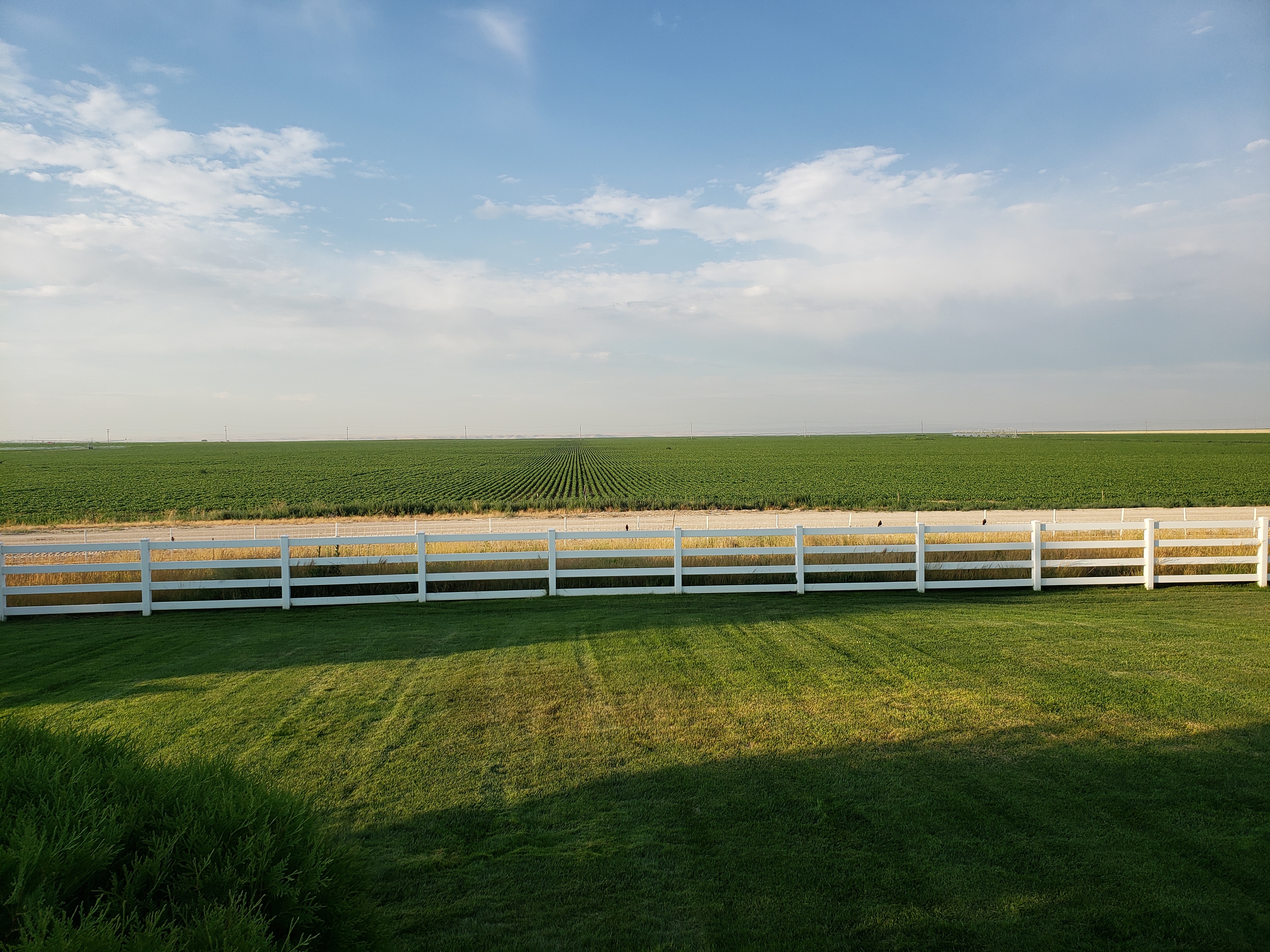 Mountain Home, Idaho, 83647, United States, ,Residential,For Sale,1830525