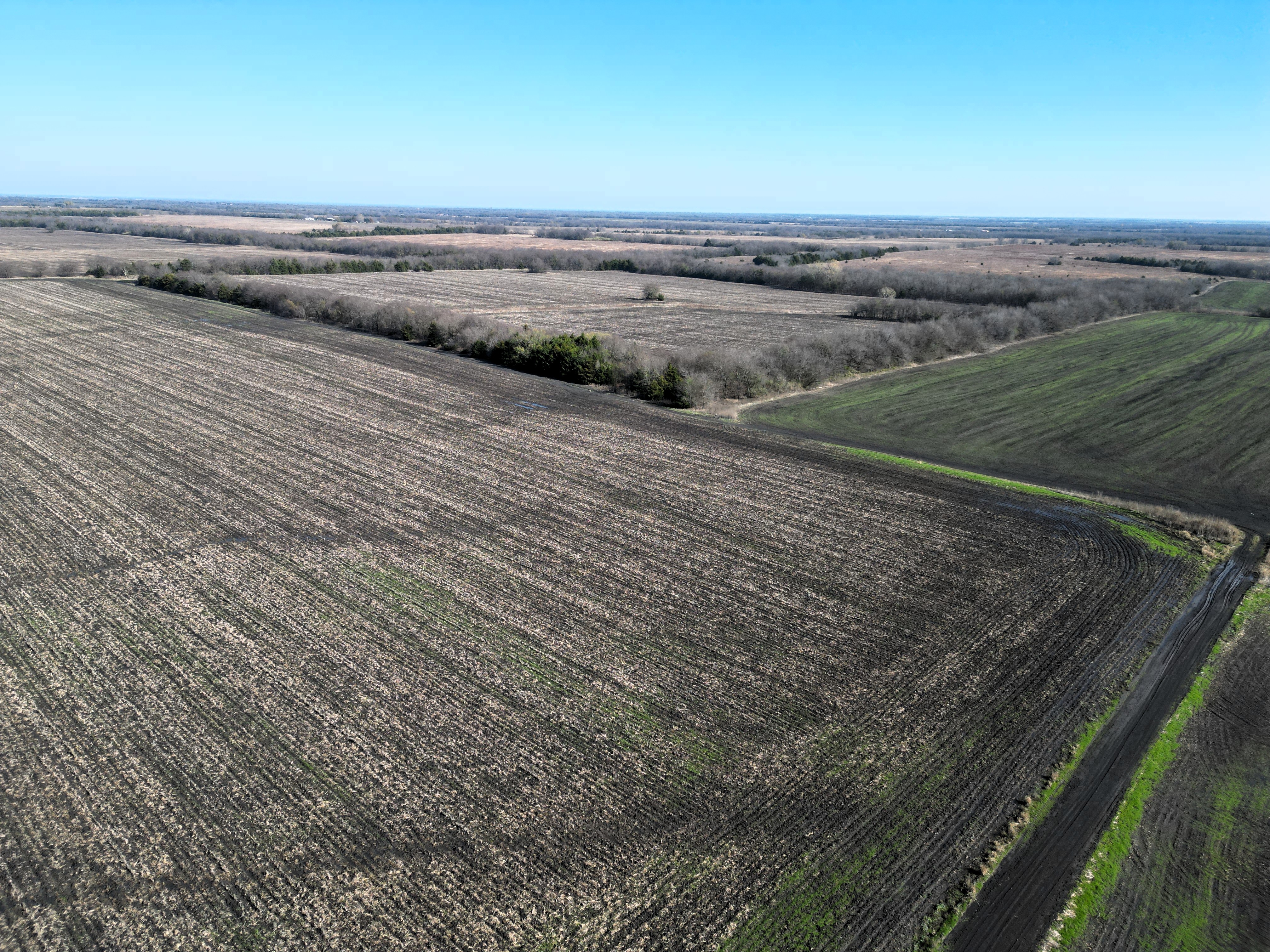 Commerce, Texas, 75428, United States, ,Land,For Sale,2001483