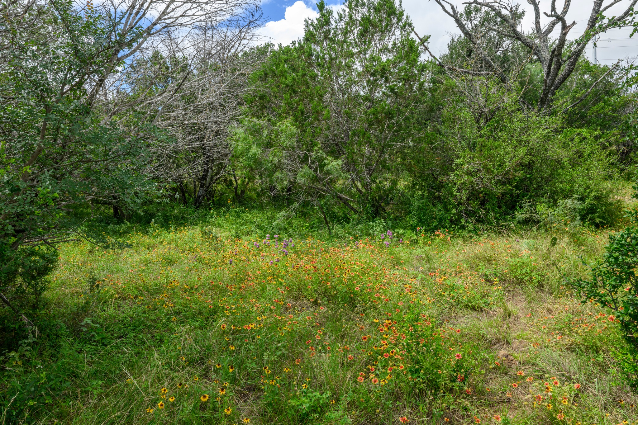  16 Acres in Spicewood - 物件實景