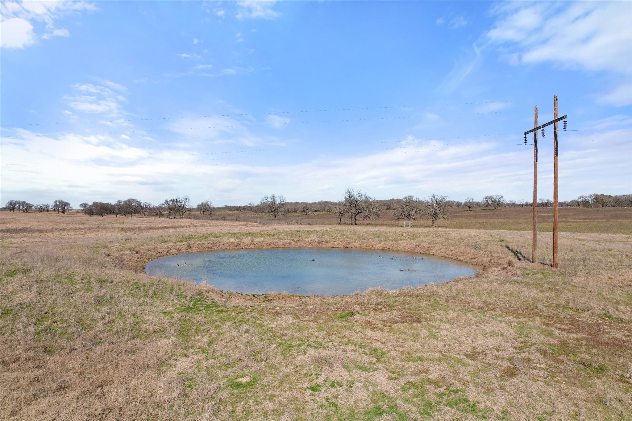 Frost, Texas, 76641, United States, ,Land,For Sale,1978385