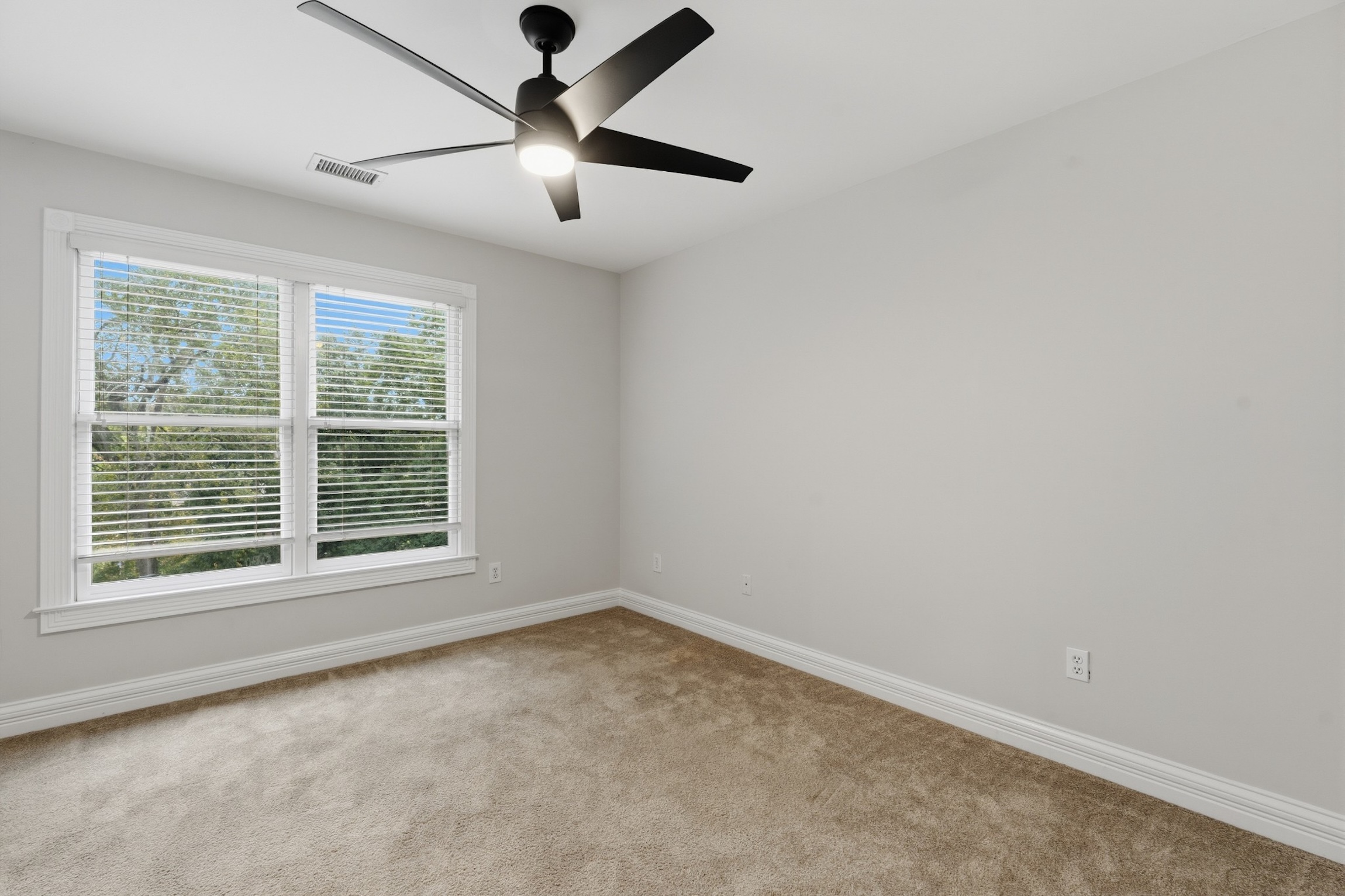  156 North Berwick Lane, Franklin, TN 37069 - 物件實景