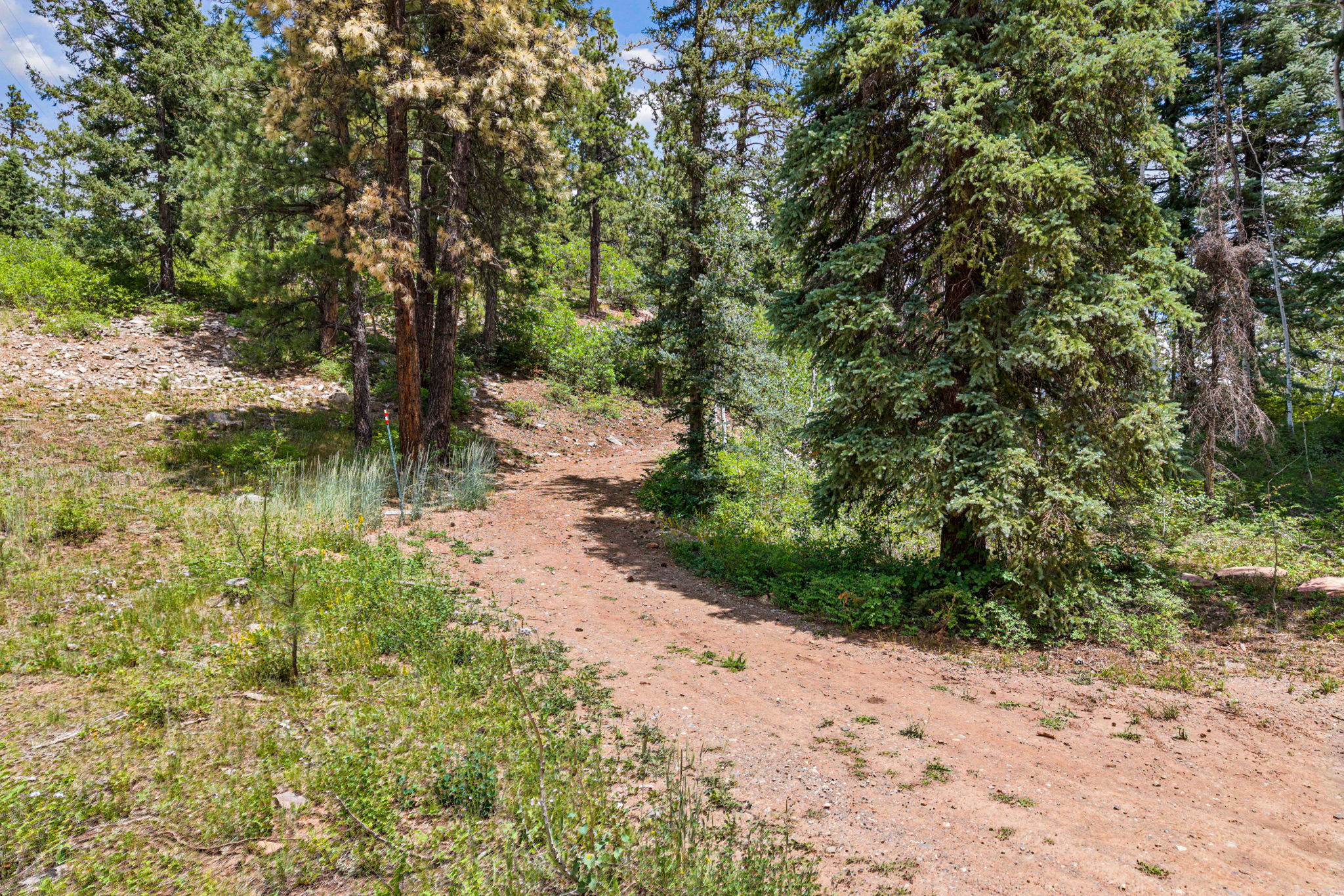  TBD East Spruce Mesa Drive, Durango, CO 81301 - 物件實景