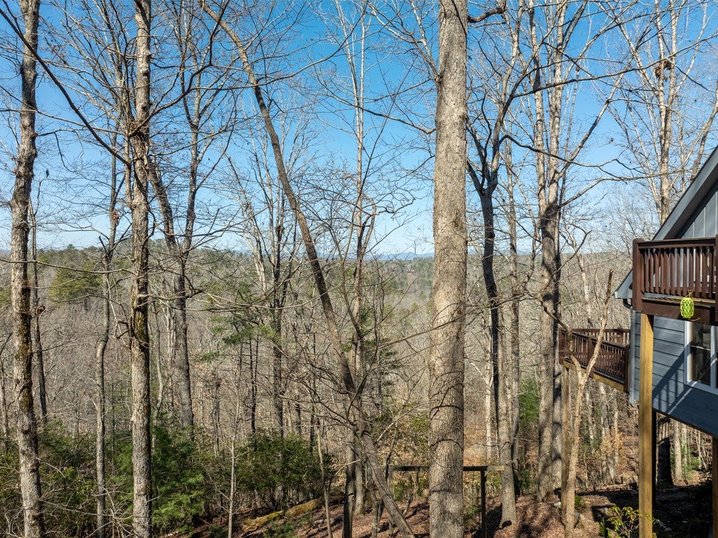 Ellijay, Georgia, 30540, United States, 4 Bedrooms Bedrooms, ,4 BathroomsBathrooms,Residential,For Sale,1858933
