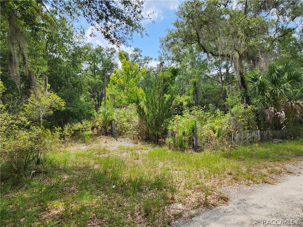 Ginny Lane Pt, Inglis, FL 34449