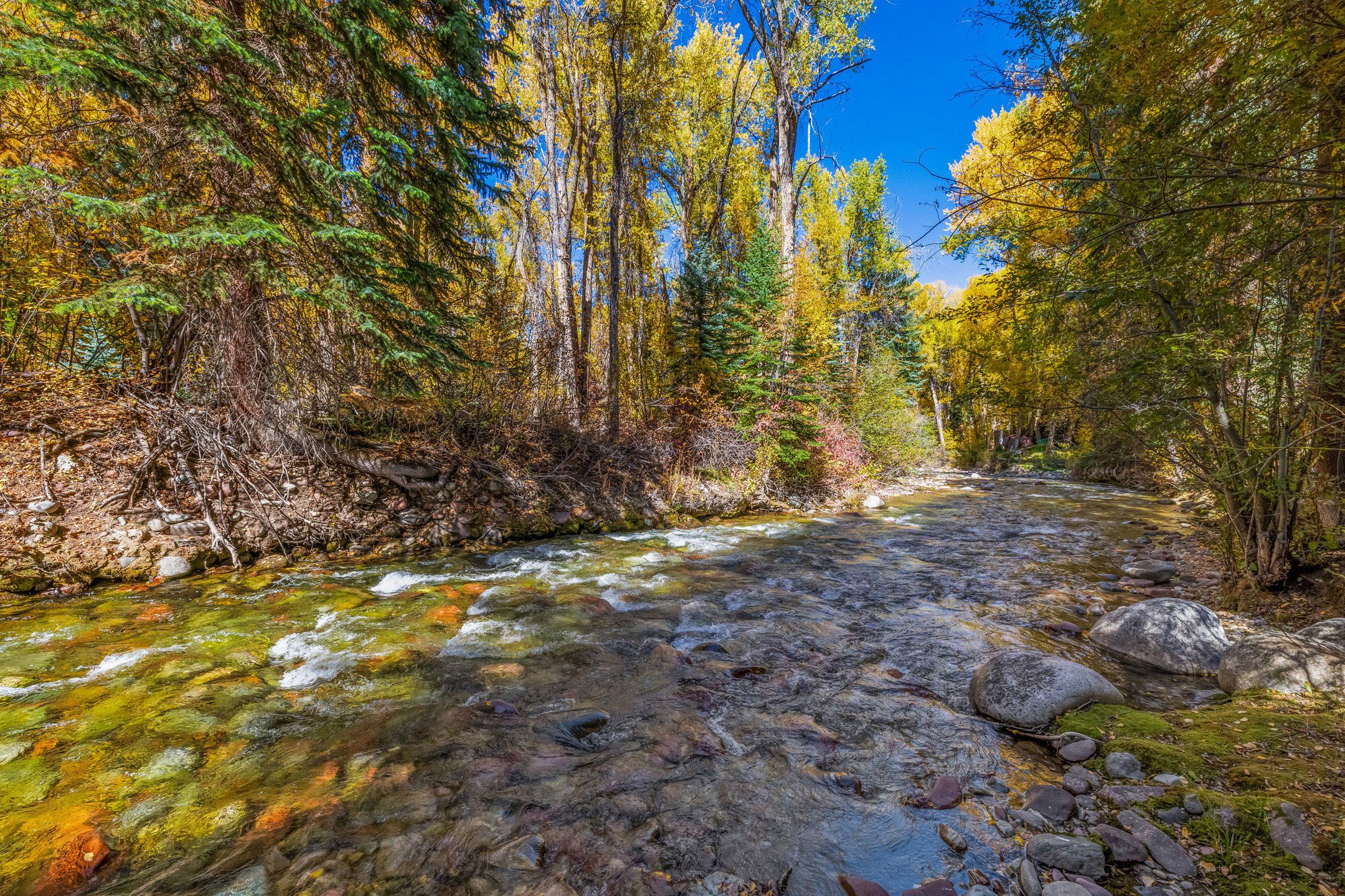  Live creekside in Aspen