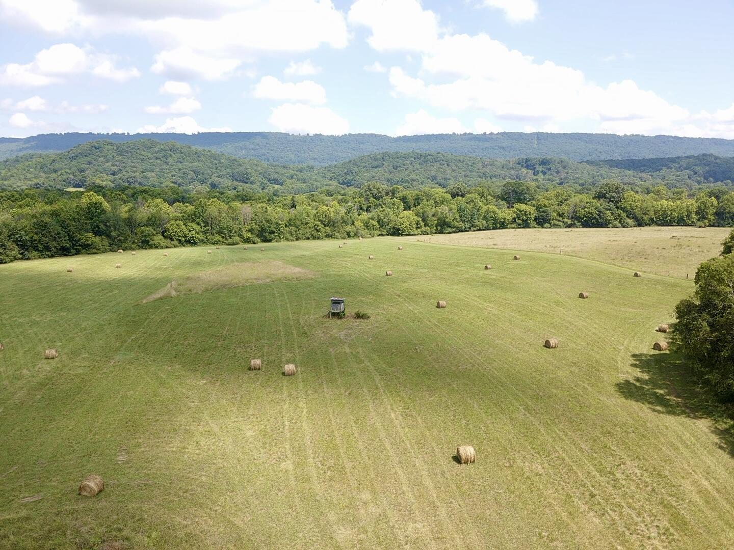 Bryant, Alabama, 35958, United States, ,Land,For Sale,1982684