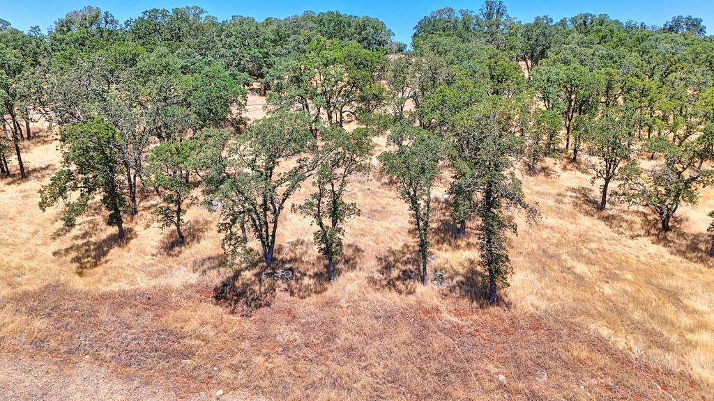 El Dorado Hills, California, 95762, United States, ,Land,For Sale,1874458