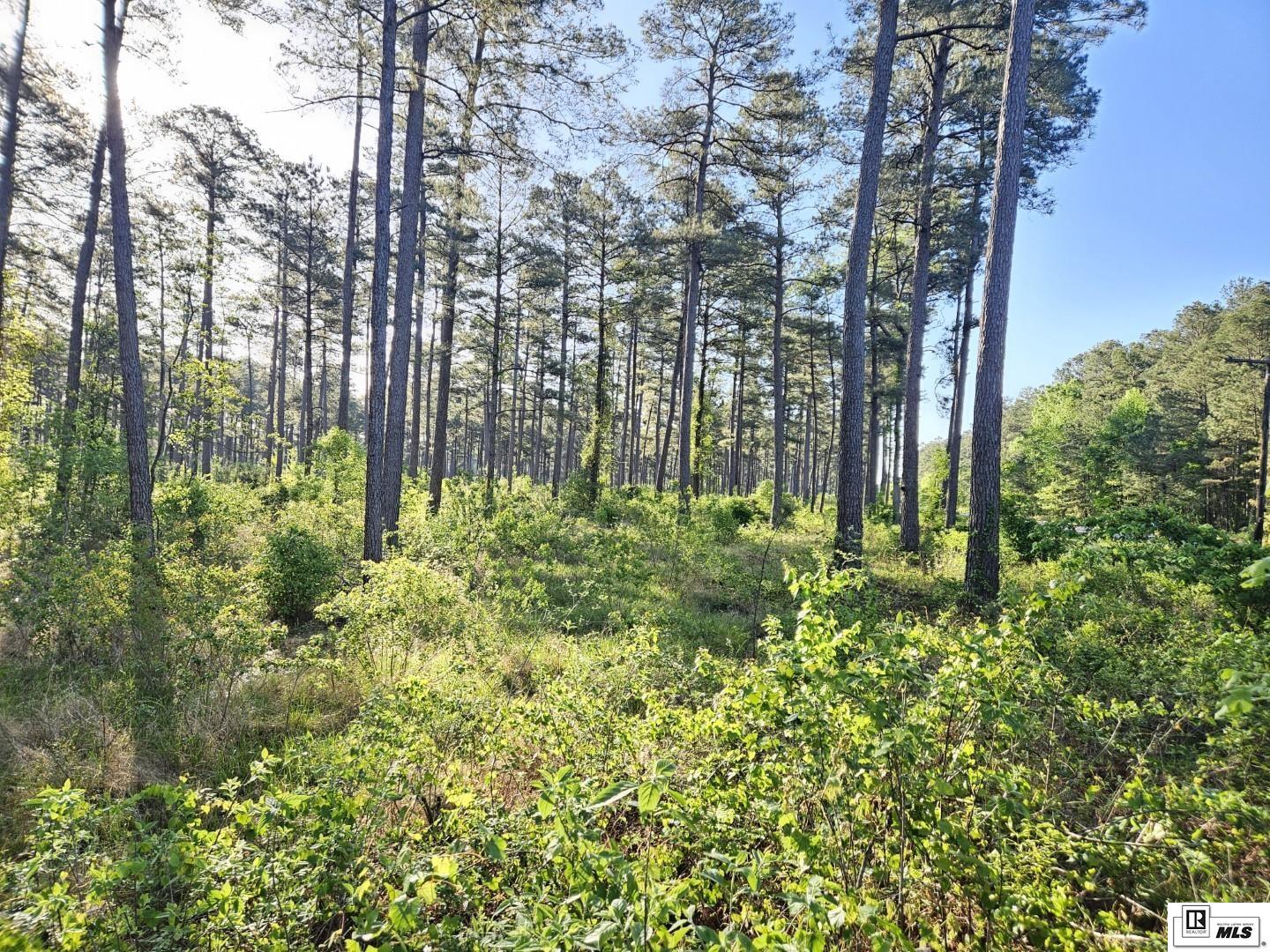 00 HIGHWAY 143, West Monroe, Louisiana, 71291, United States, ,Land,For Sale,00 HIGHWAY 143,1620835