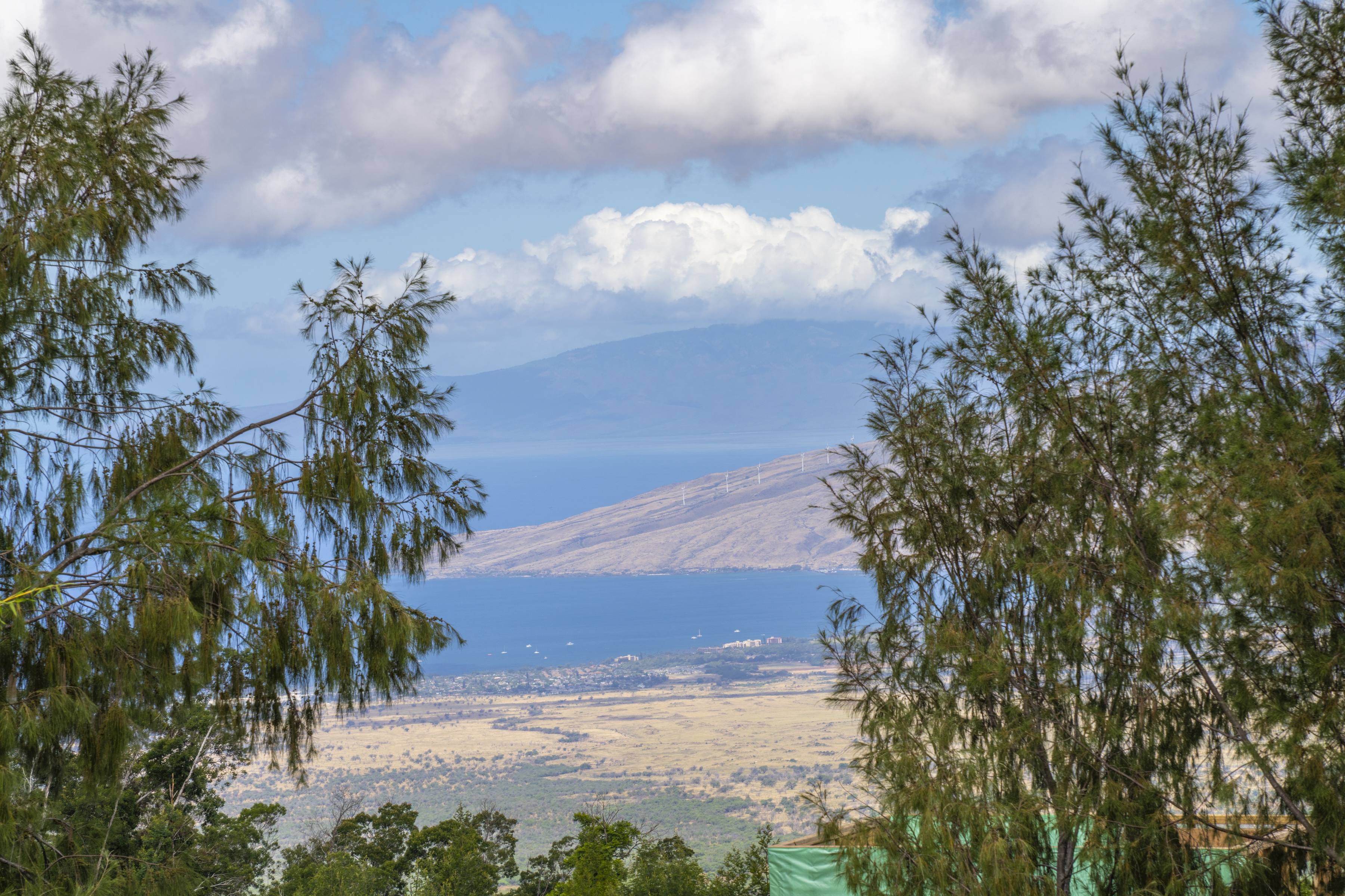  Small Kula home with tons of potential - 物件實景