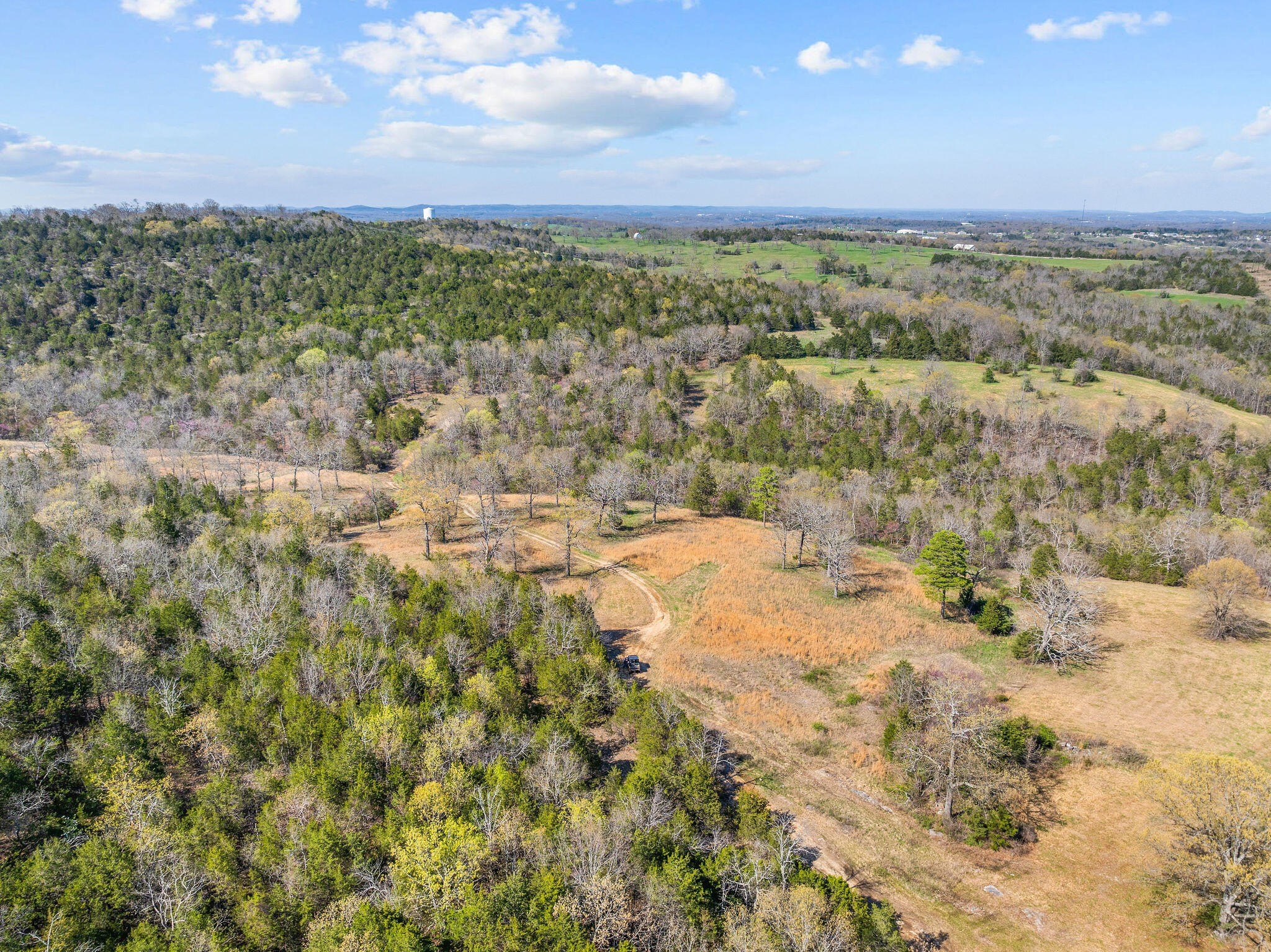 Kirbyville, Missouri, 65679, United States, ,Land,For Sale,1978892