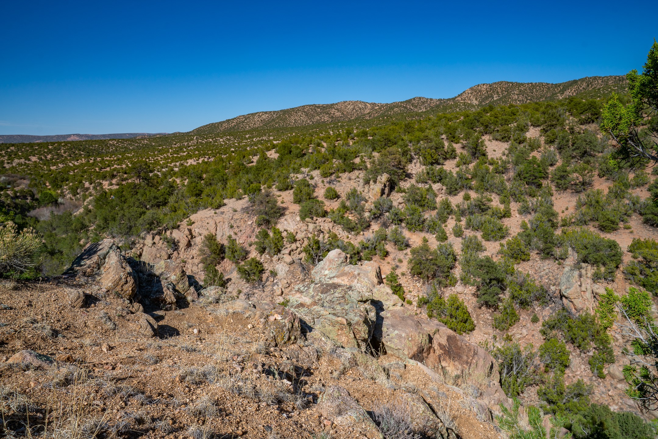  5.9 Acre Lot Camino Del Canon - 物件實景