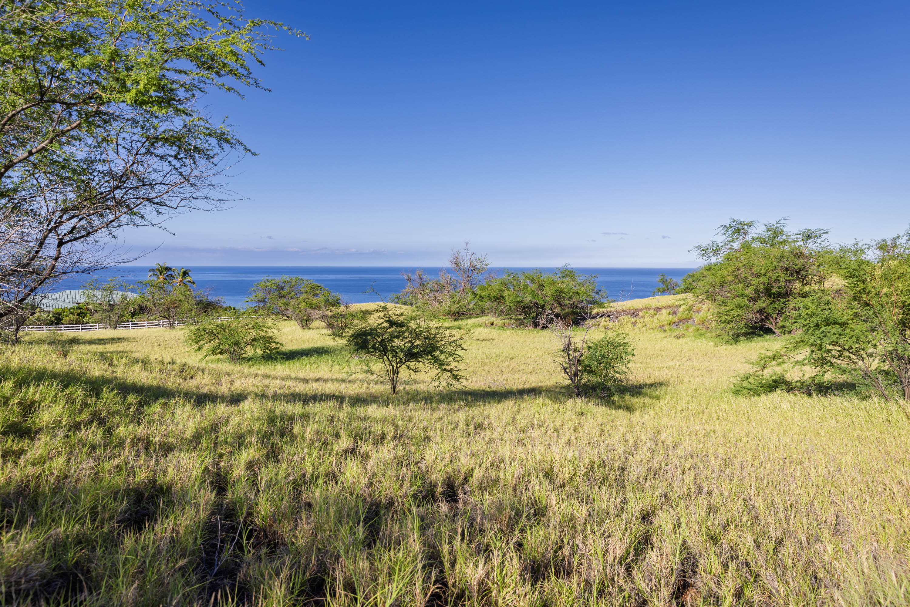  59-670 Kaala Road, Kamuela, HI, 96743 - 物件實景