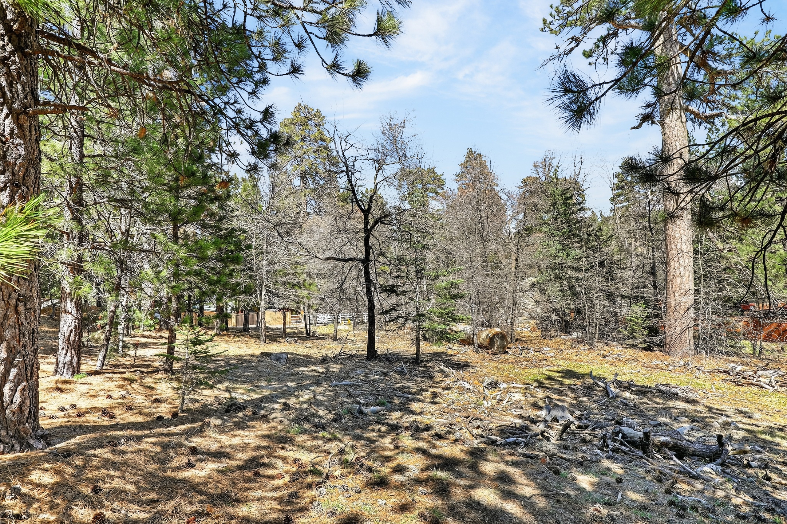  0 Cepu Rd, Running Springs , CA 92382 - 物件實景