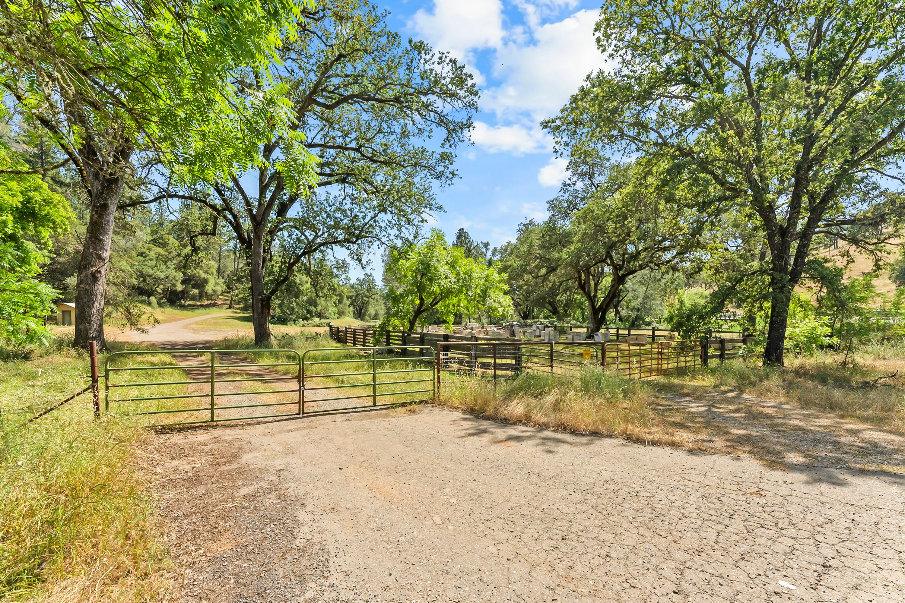  Amoruso Ranch 1000+ Acres Legacy - 物件實景