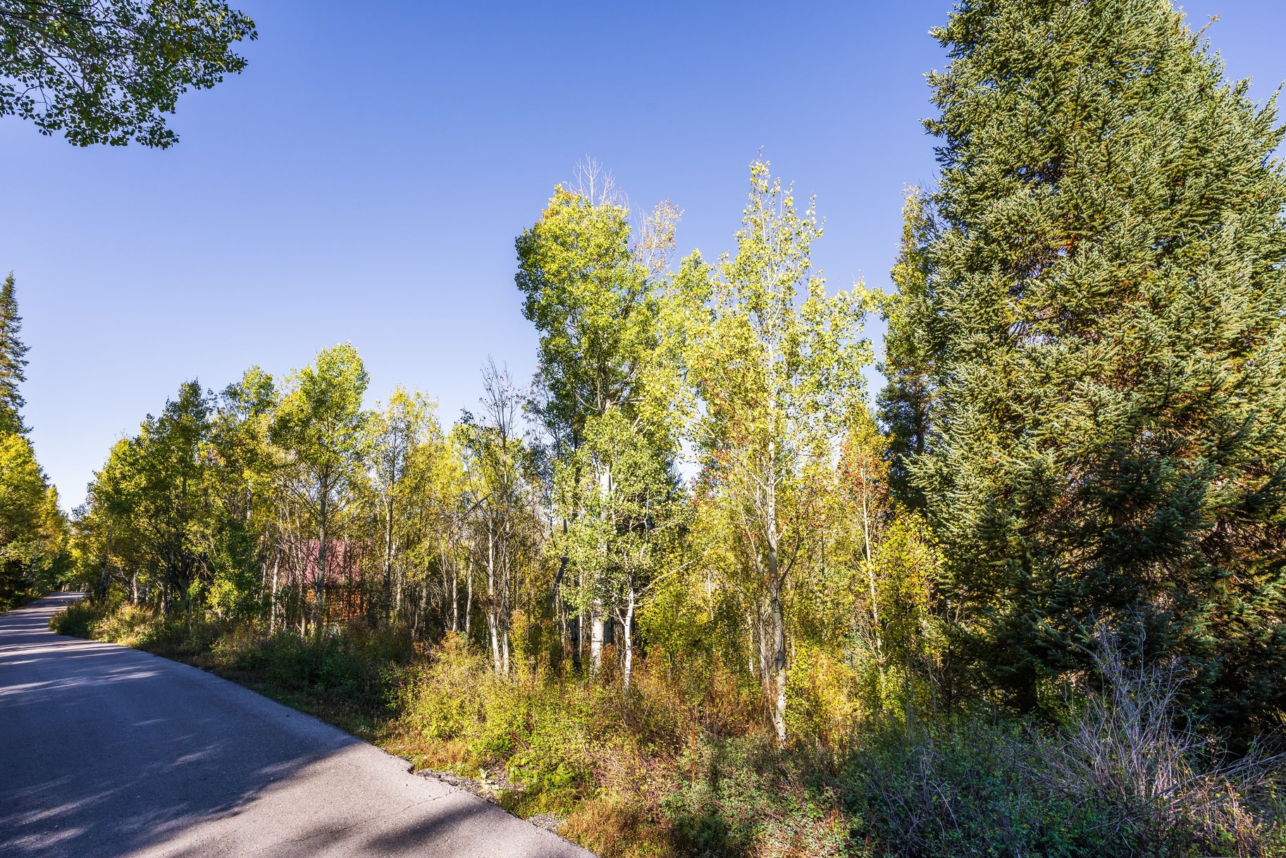  1.32-Acre Wooded Retreat in Gated Pine Mountain Near Oakley - 物件實景