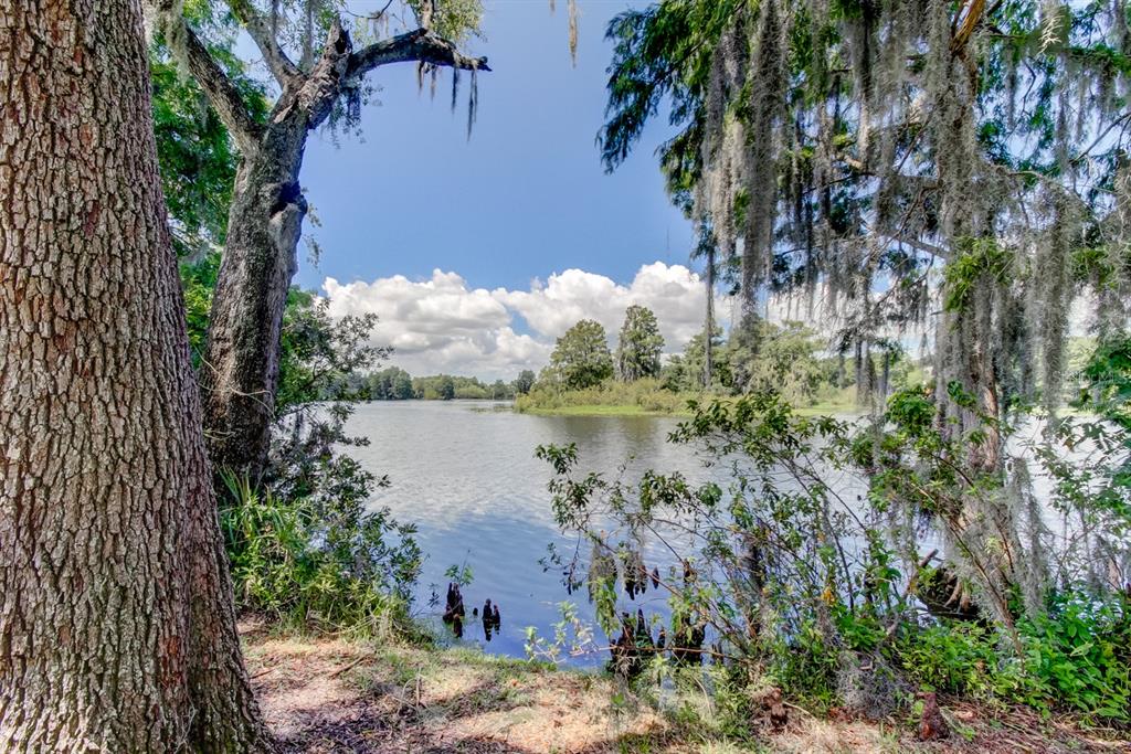 Temple Terrace, Florida, 33617, United States, 4 Bedrooms Bedrooms, ,3 BathroomsBathrooms,Residential,For Sale,1901085