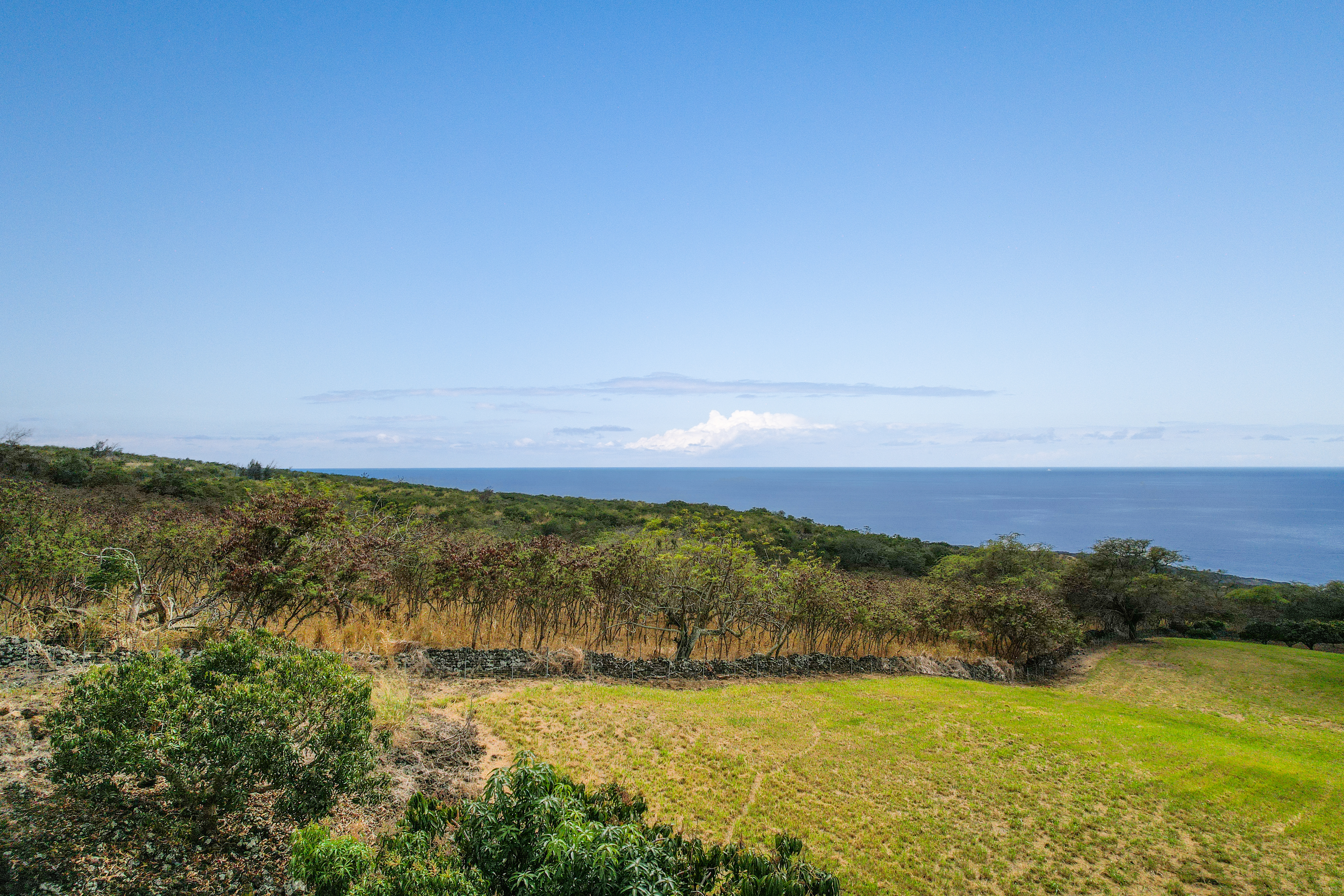  81-6470 Laukapalala Way, Kealakekua, HI 96750 - 物件實景
