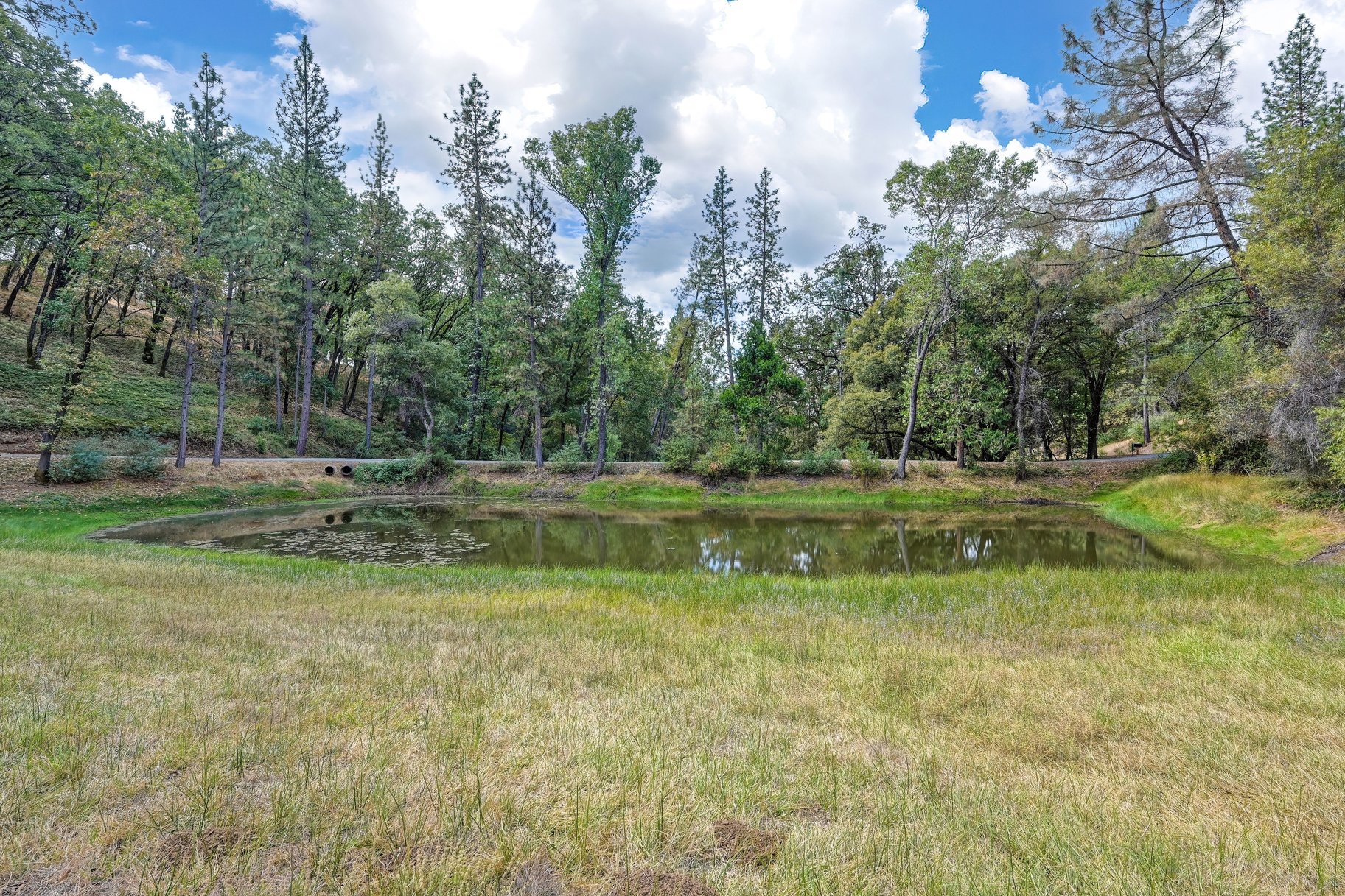  Spacious Grass Valley Country Property, 5 acres, shop and pond - 物件實景
