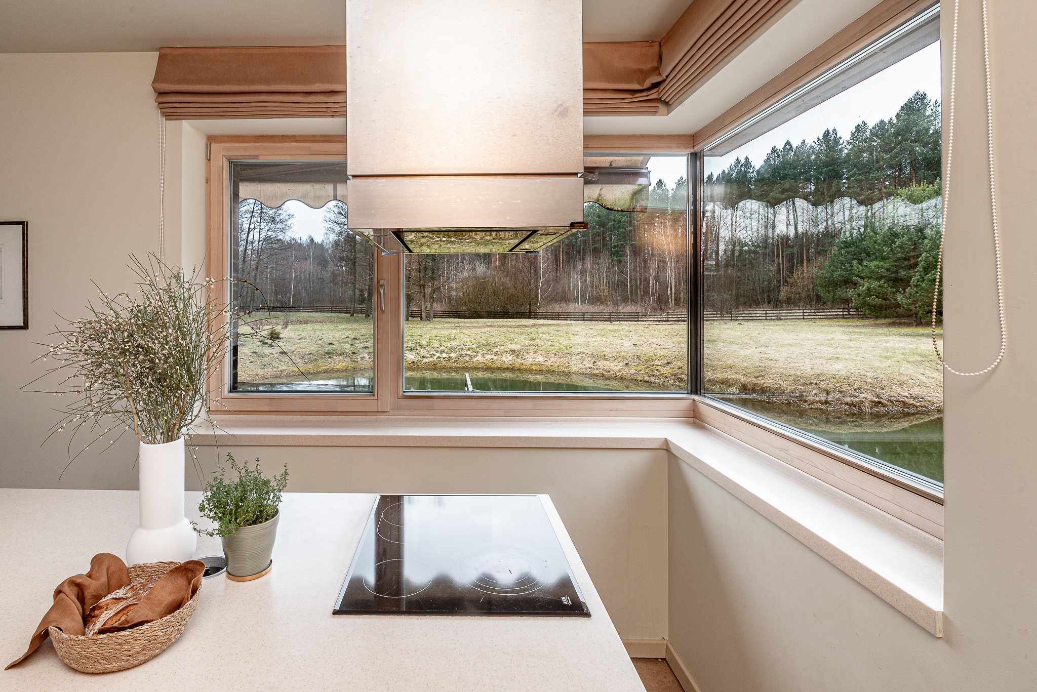  A spacious lakeshore residence near Druskininkai - 物件實景