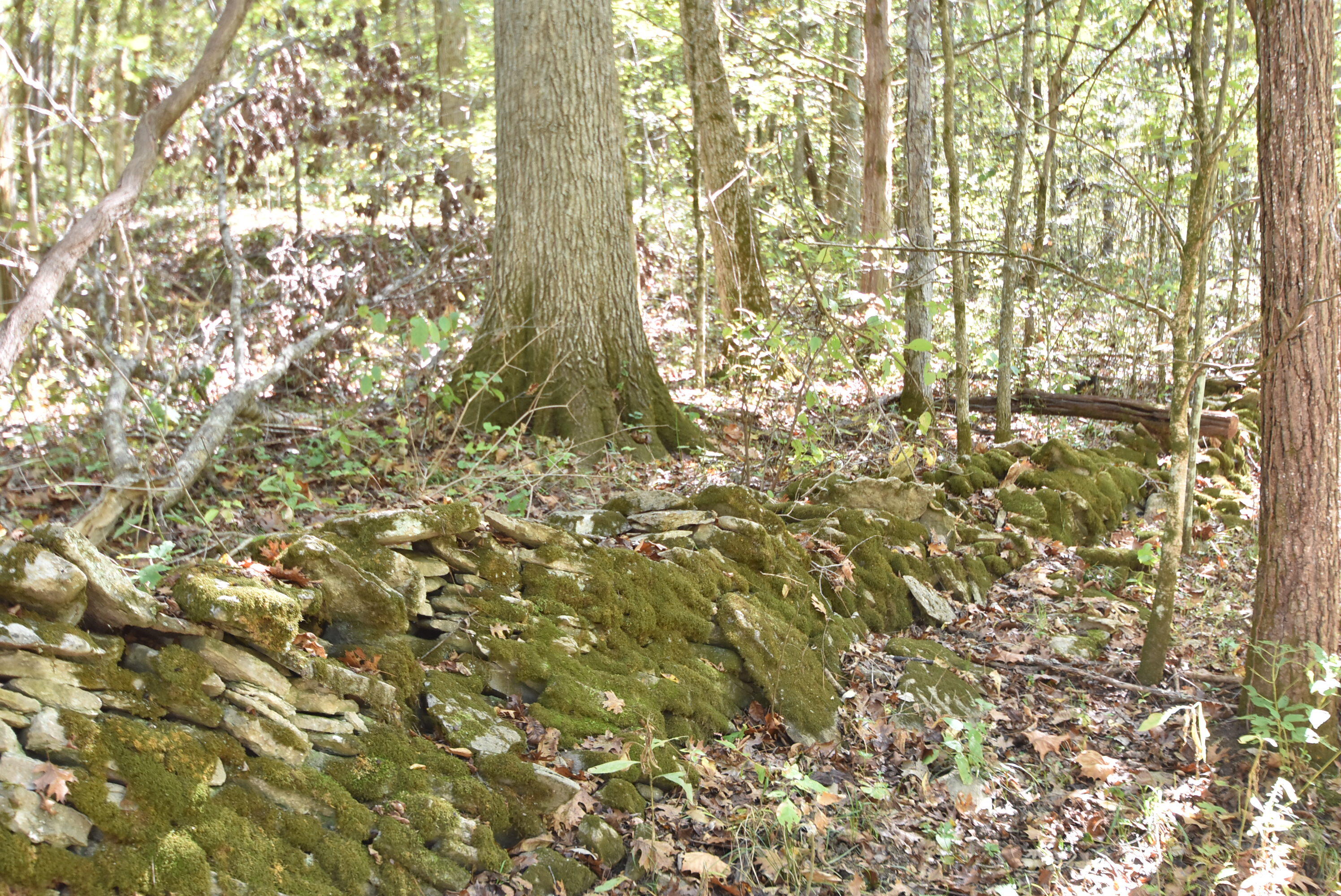 Willisburg, Kentucky, 40078, United States, 4 Bedrooms Bedrooms, ,1 BathroomBathrooms,Residential,For Sale,1962831