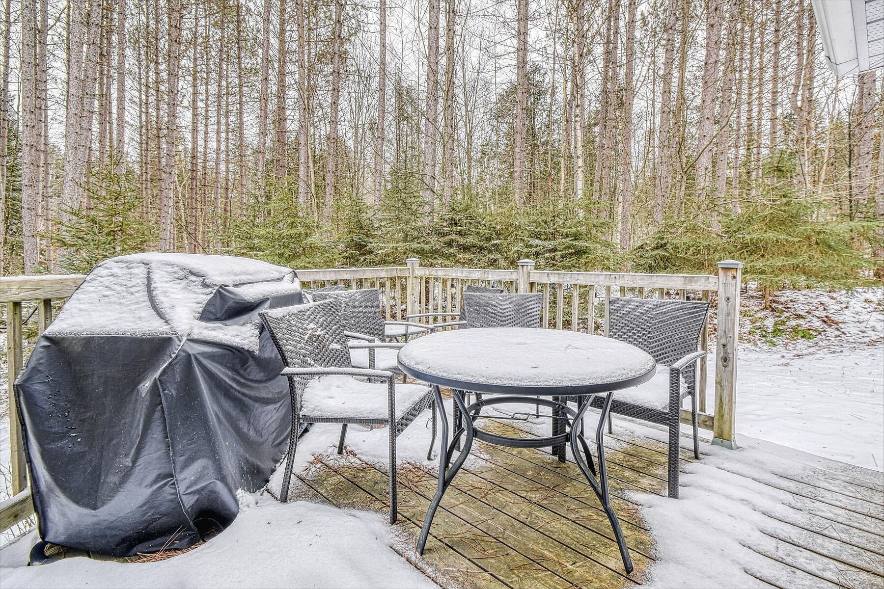 Mont-Tremblant, Laurentides - 物件實景