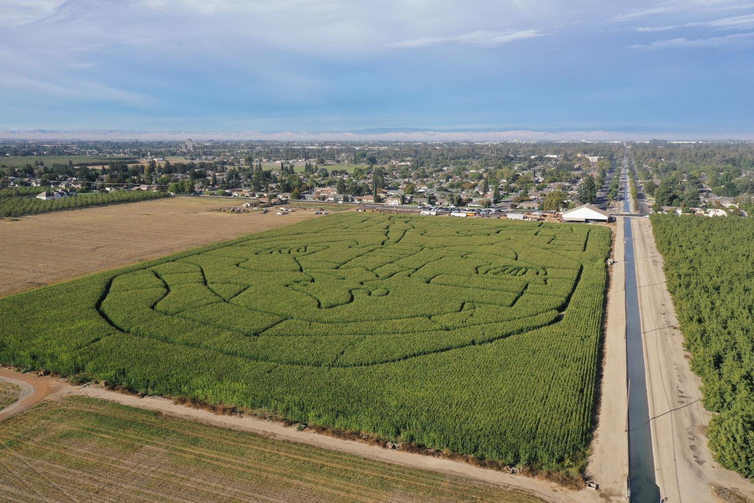 Turlock, California, 95380, United States, ,Land,For Sale,1976877