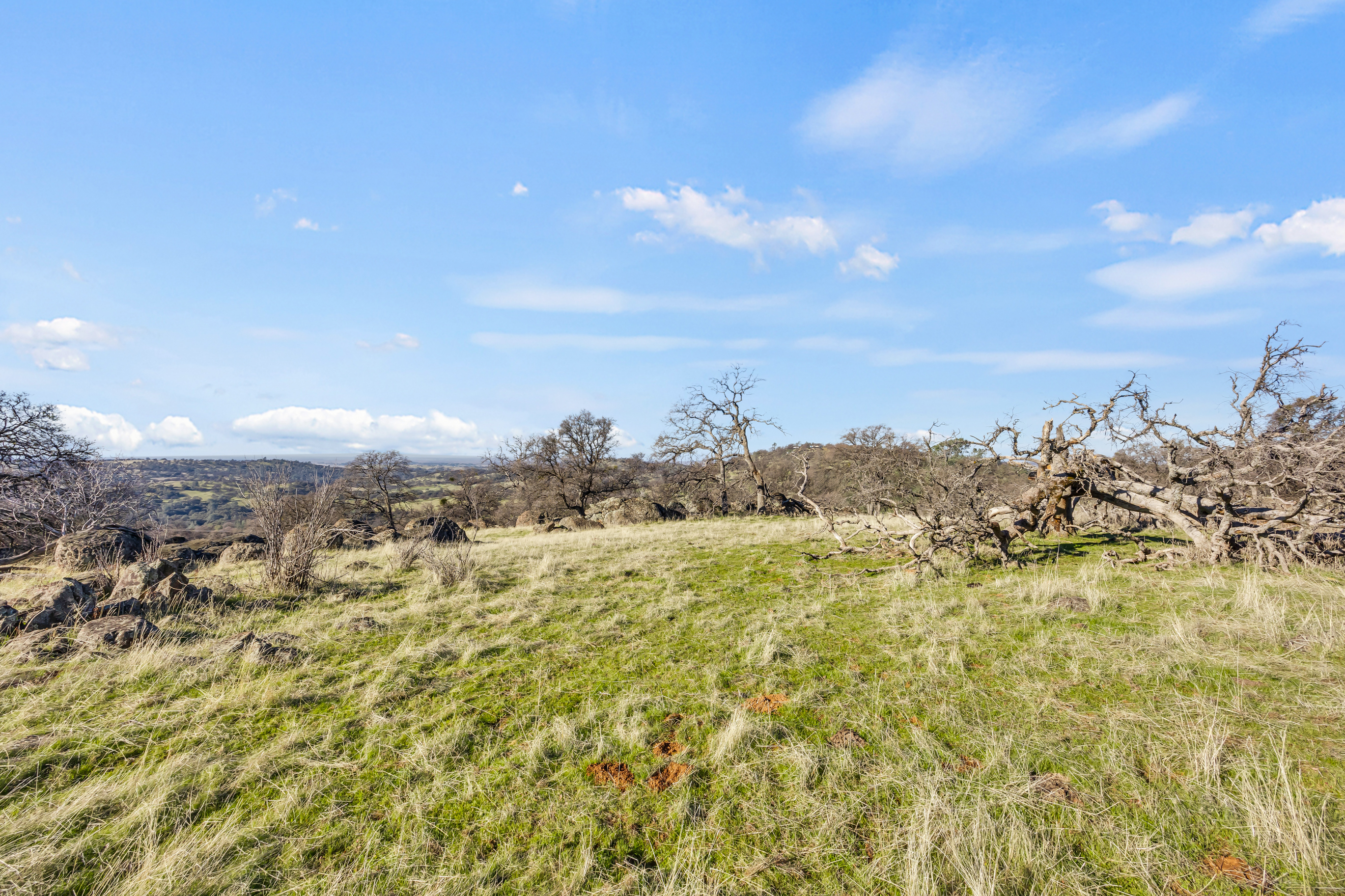 23443 Corino Way, Grass Valley, CA 95949 - 物件實景