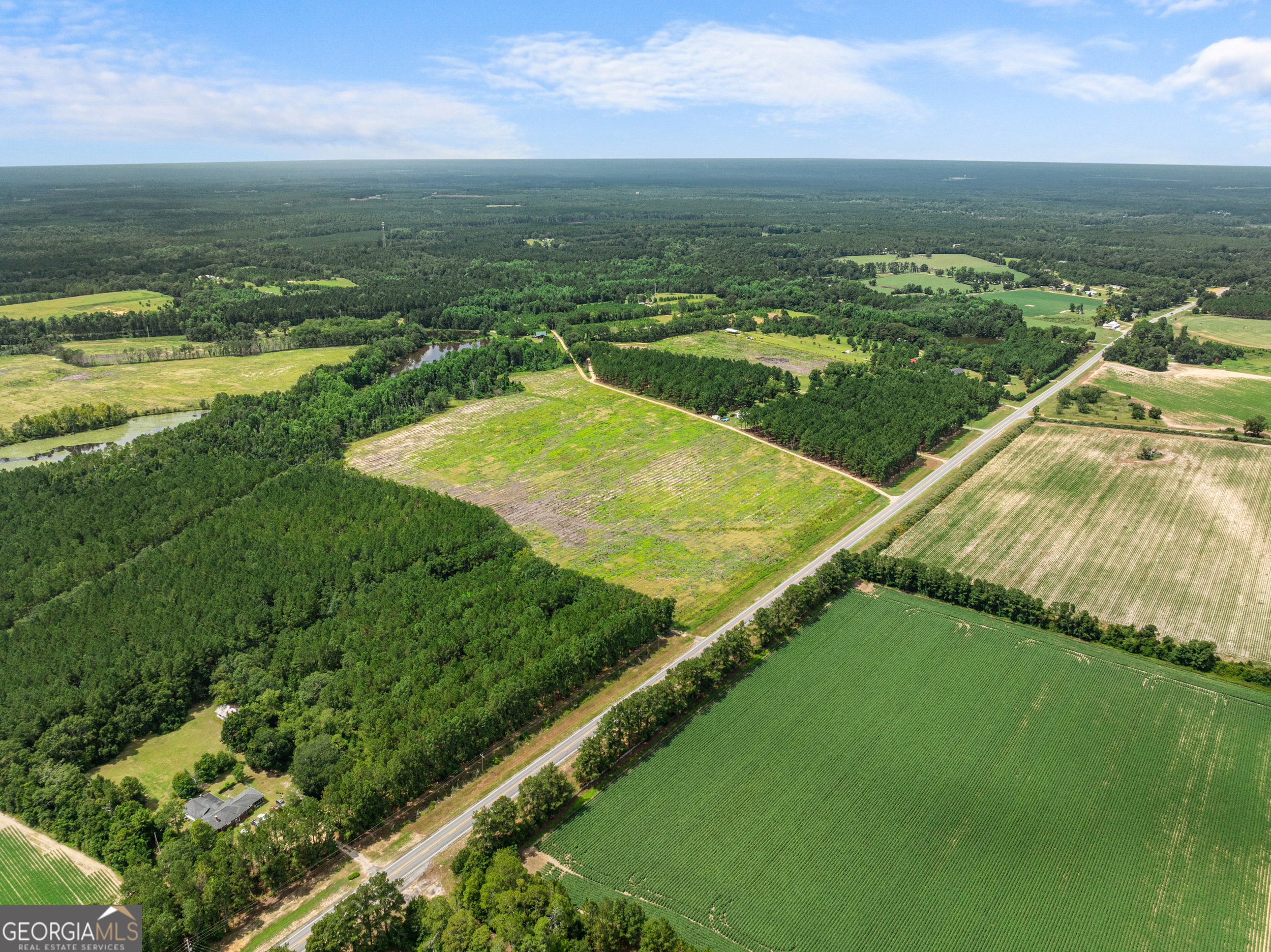Statesboro, Georgia, 30458, United States, ,Land,For Sale,1911473