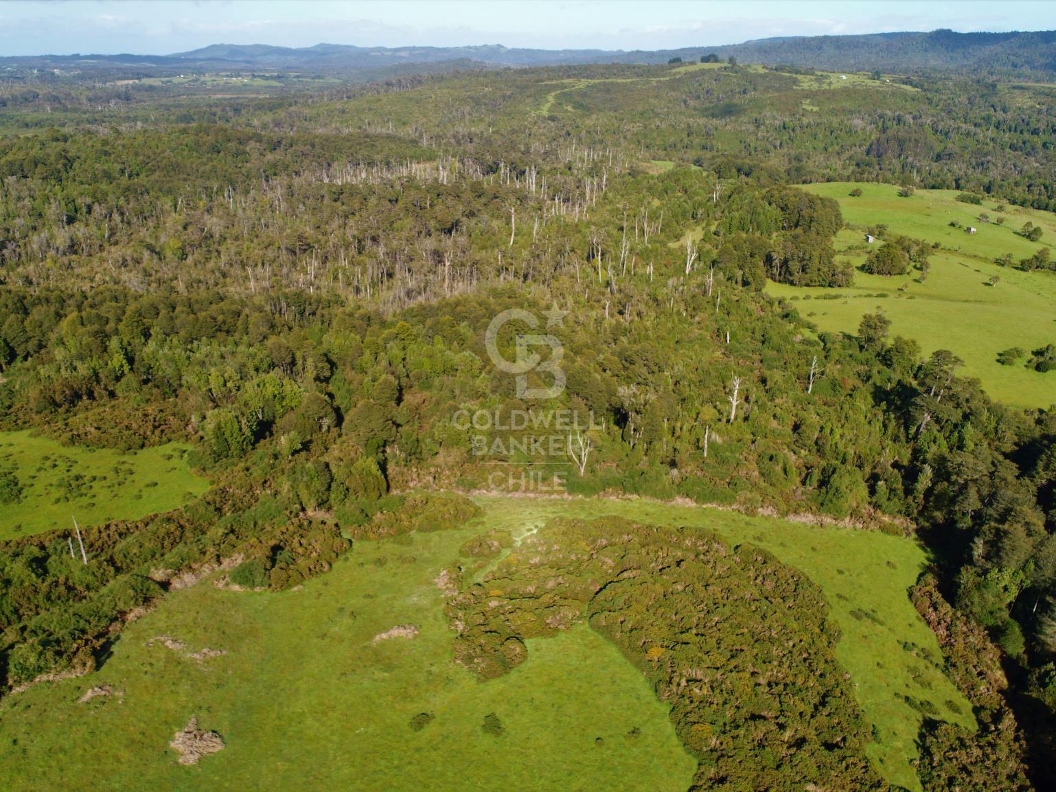 Ancud, Chile, ,Residential,For Sale,1759284