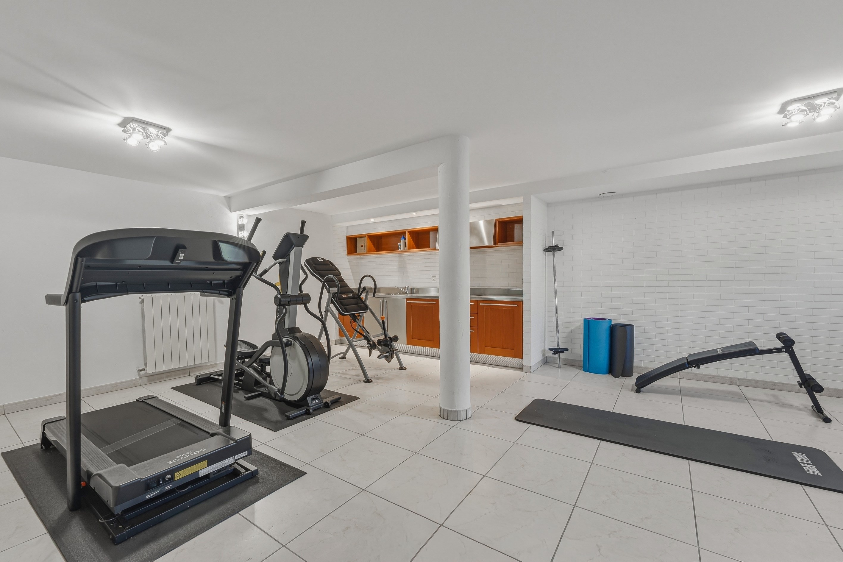  A luxury property on the outskirts of Geneva, with a Mediterranean feel - 物件實景