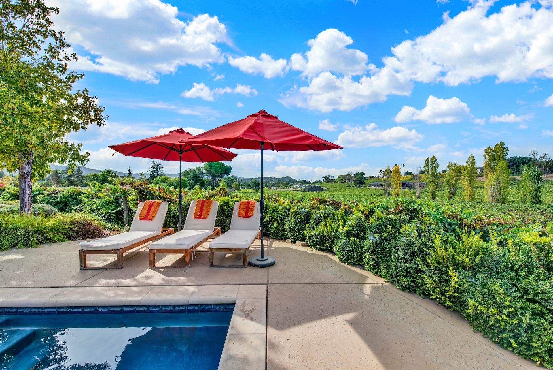  Classic Wine Country Setting - 物件實景