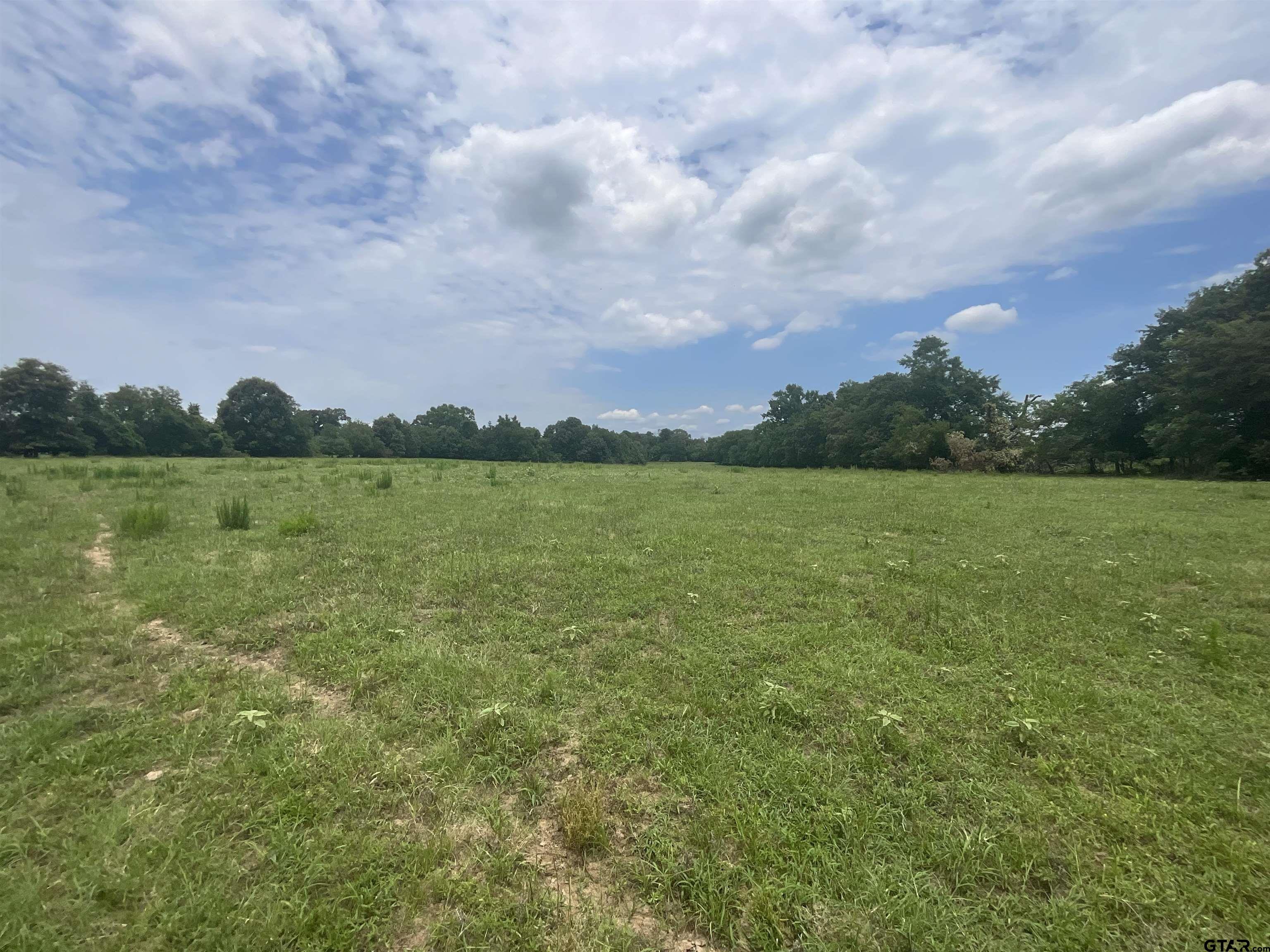 Pittsburg, Texas, 75686, United States, ,Land,For Sale,1976624