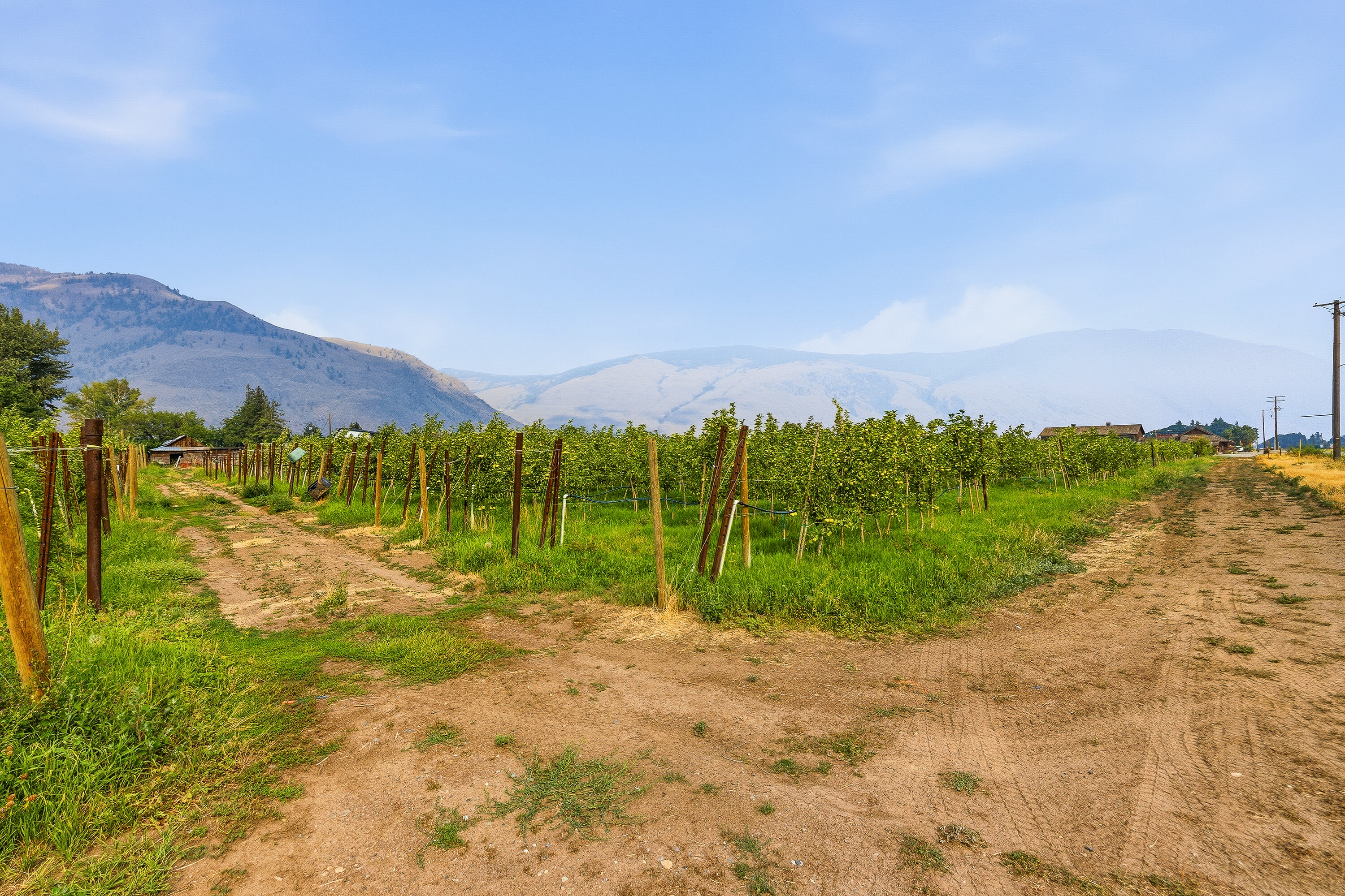 Home on an Organic Farm - 物件實景