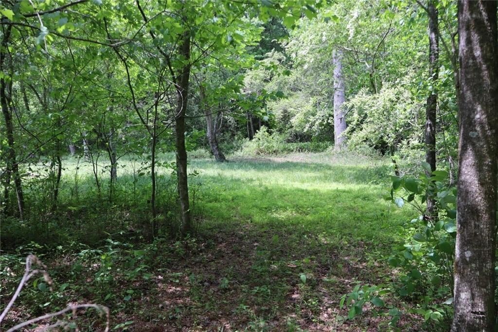 Ellijay, Georgia, 30540, United States, ,Land,For Sale,1979935