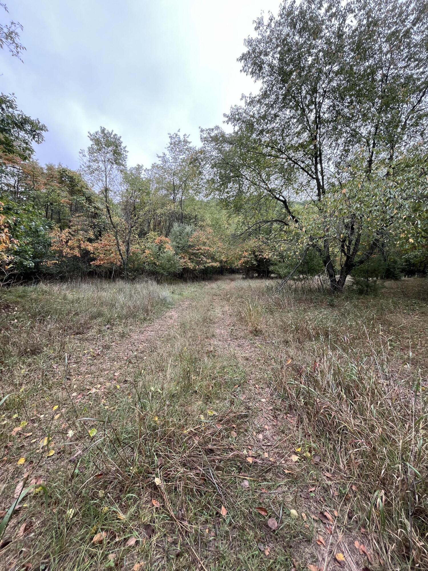 Holland, Michigan, 49423, United States, ,Land,For Sale,1984498