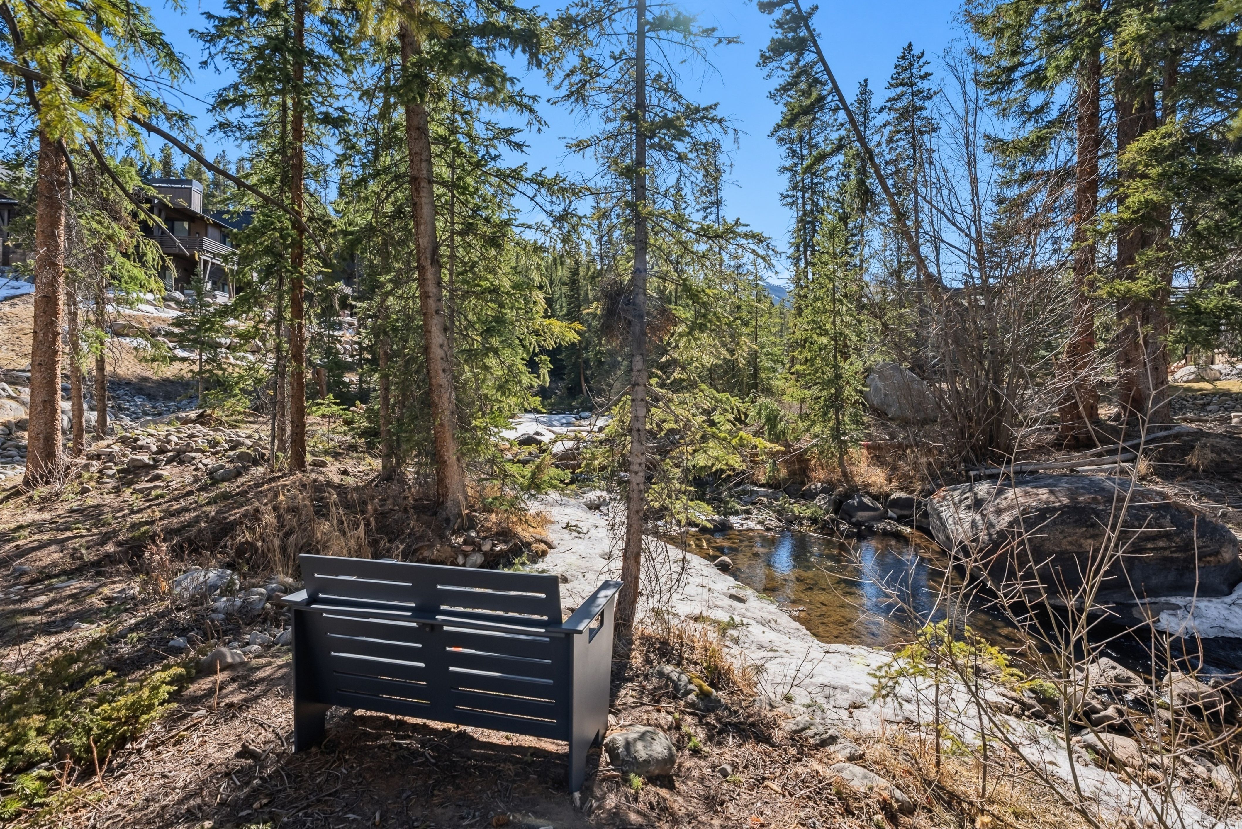  341 River Park Drive, Breckenridge, CO, 80424 - 物件實景