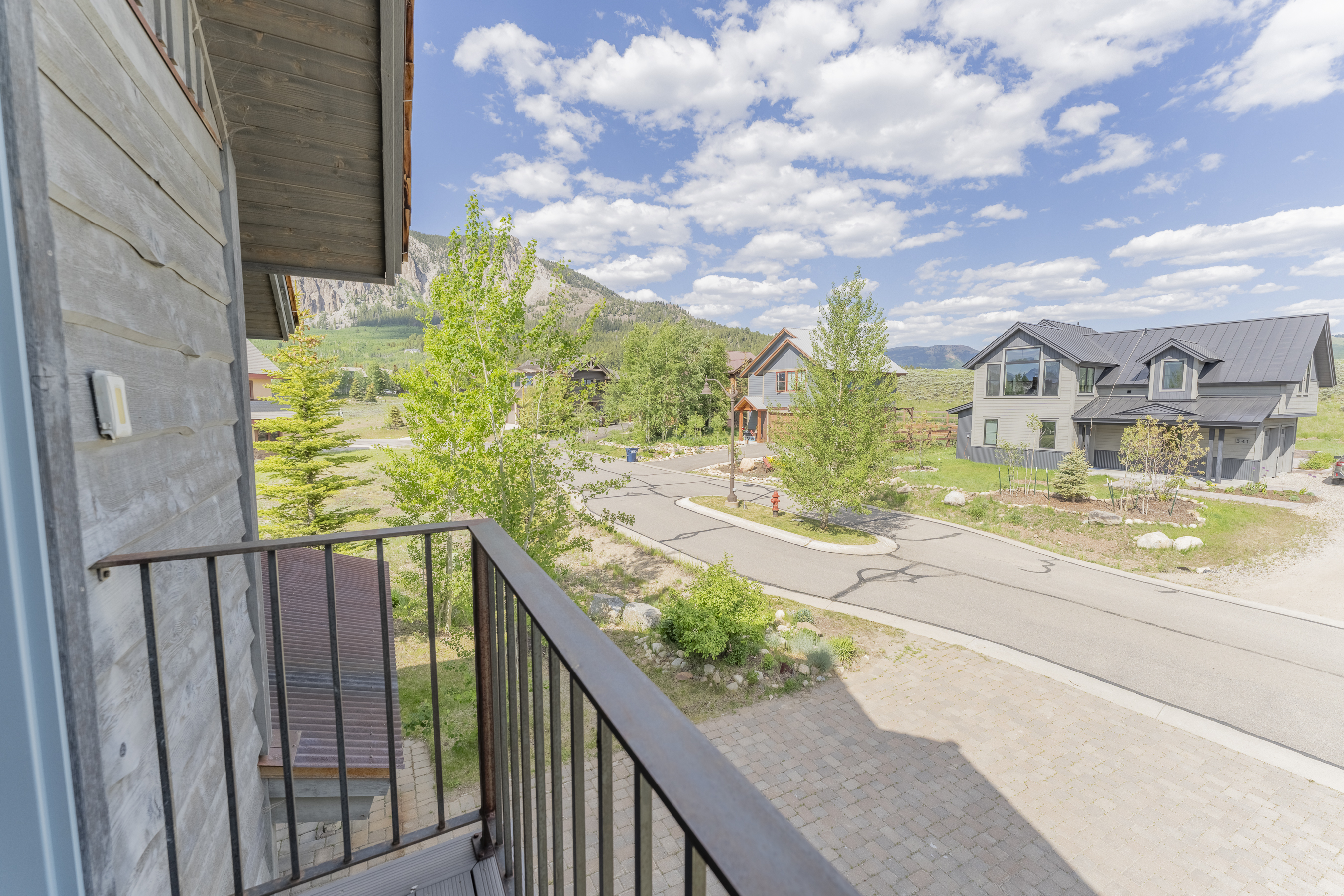  330 Larkspur Loop, Crested Butte, CO 81224 - 物件實景