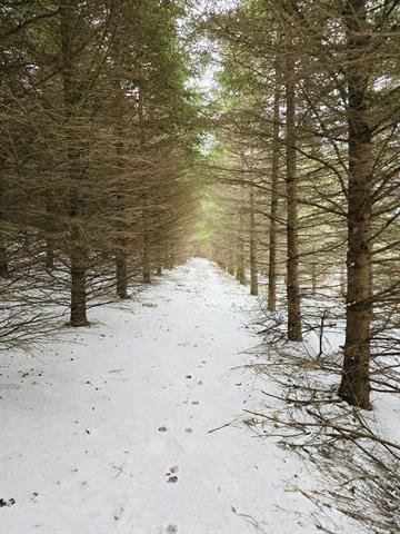 Gays Mills, Wisconsin, 54631, United States, 3 Bedrooms Bedrooms, ,3 BathroomsBathrooms,Residential,For Sale,2006070