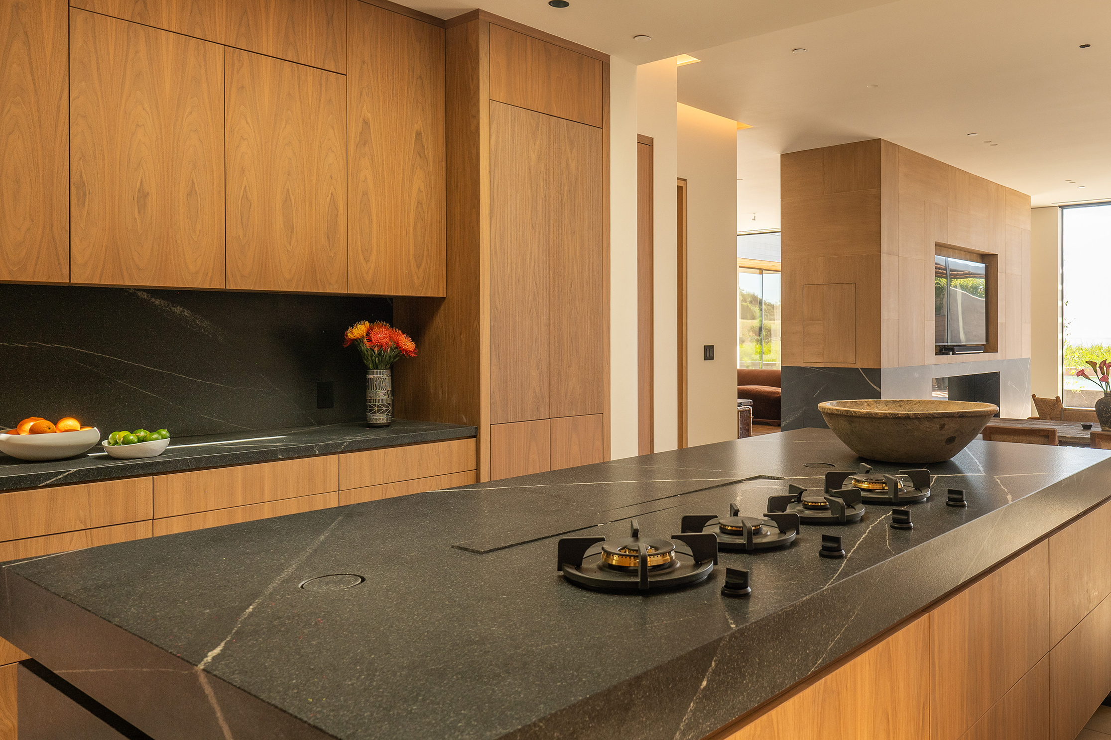  ARCHITECTURAL New Construction Hollywood Hills - 物件實景