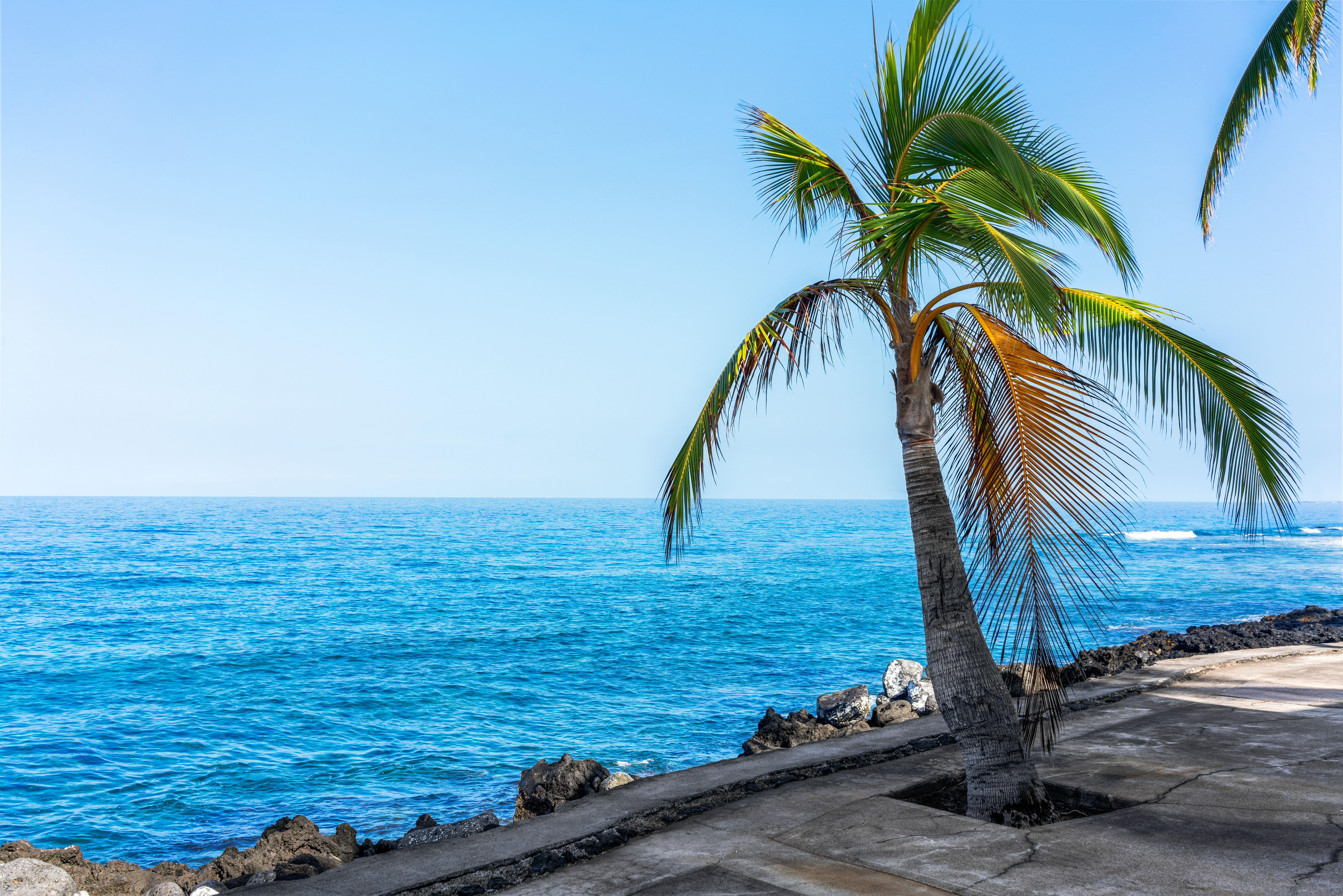  78-6800 Ali‘i Drive Unit 184, Kailua-Kona, HI 96740 - 物件實景