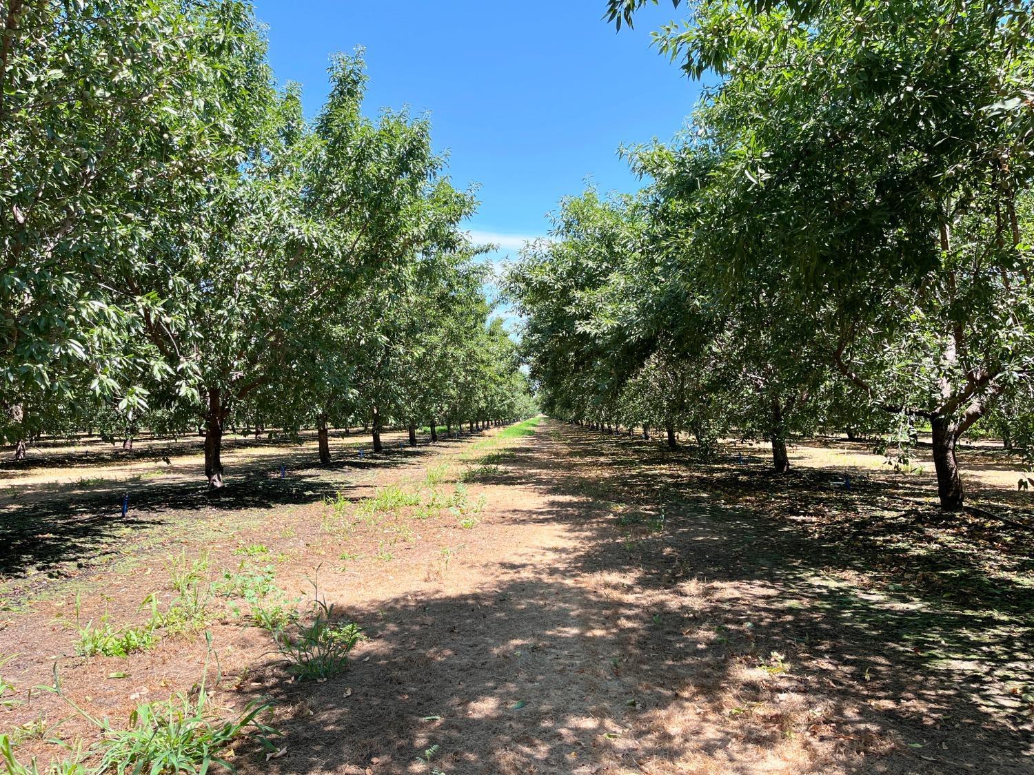 Livingston, California, 95334, United States, 4 Bedrooms Bedrooms, ,3 BathroomsBathrooms,Residential,For Sale,1975641