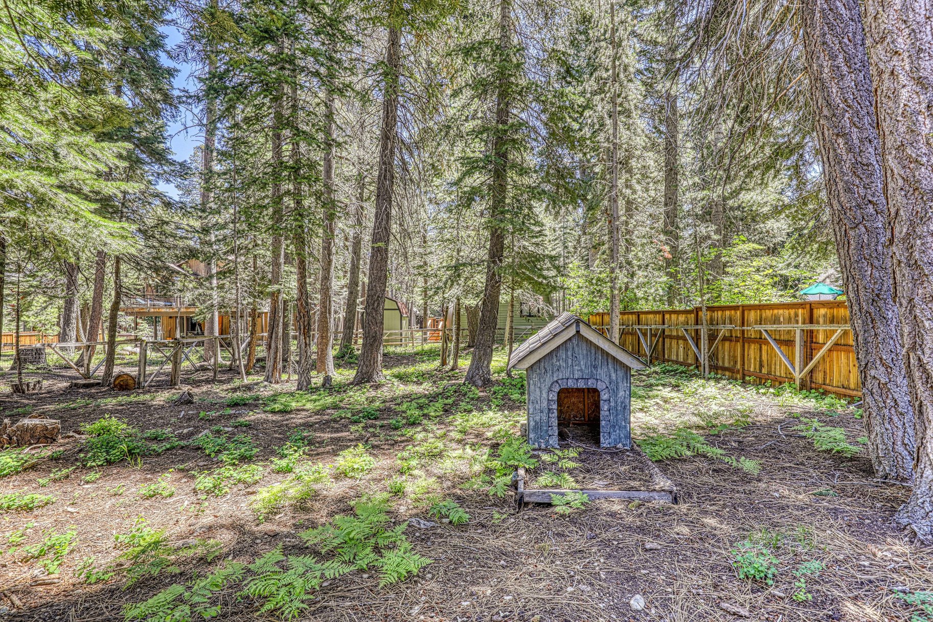  Home 3 Blocks from Lake Tahoe with 4 Car Garage for Cars & Boats - 物件實景